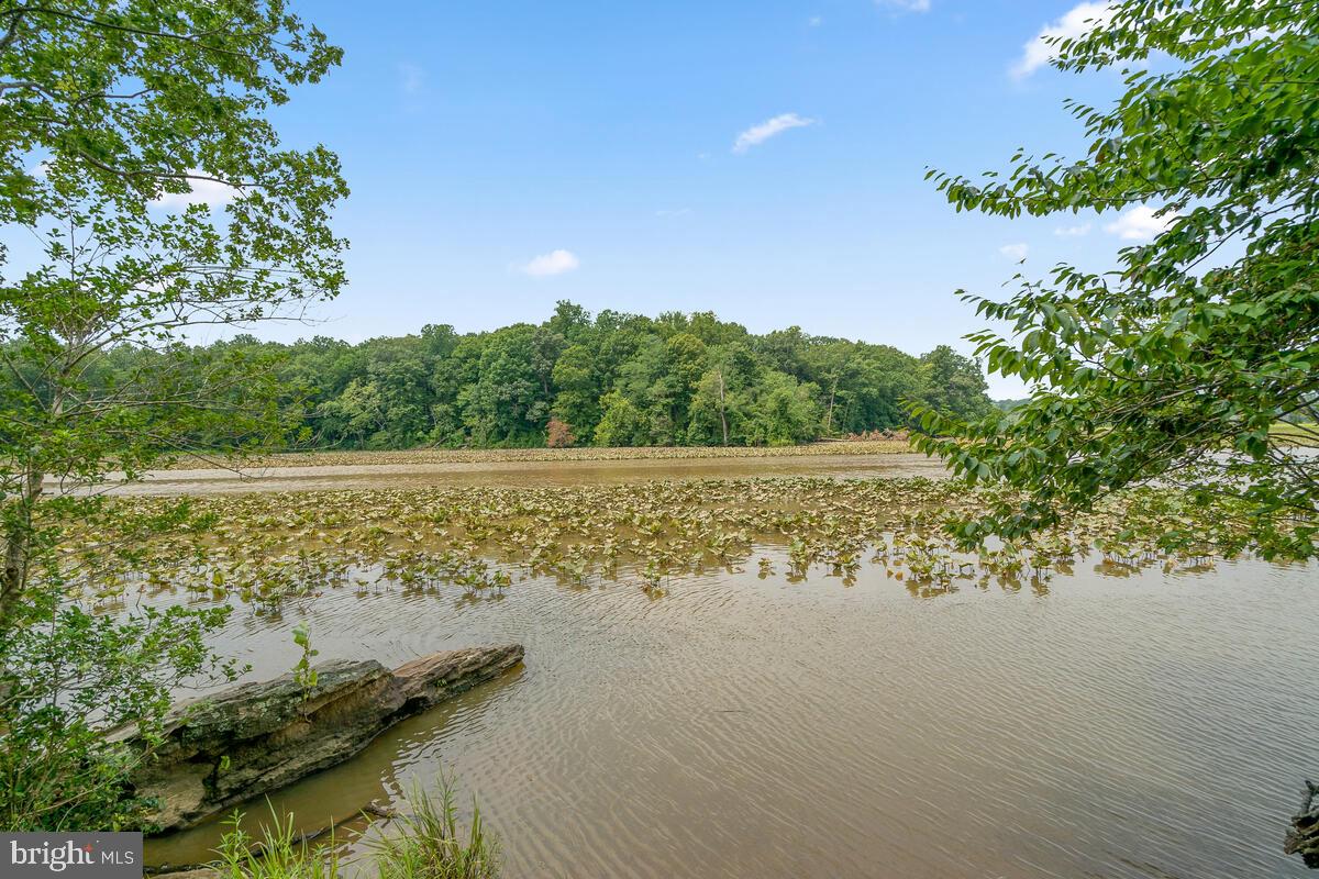 322 IRONSIDE COVE