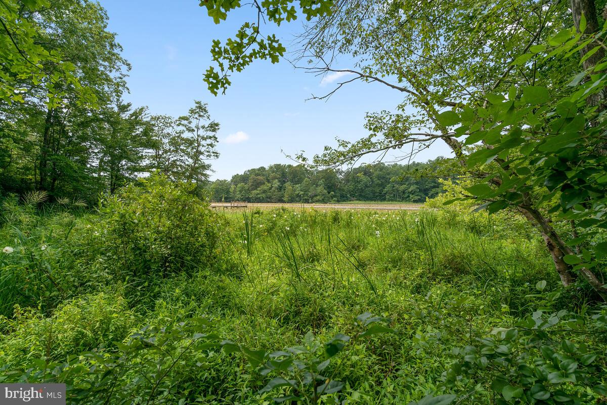 322 IRONSIDE COVE
