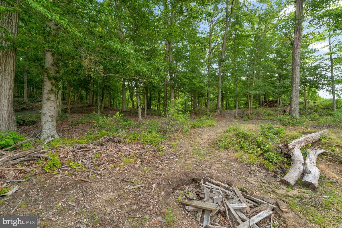 322 IRONSIDE COVE