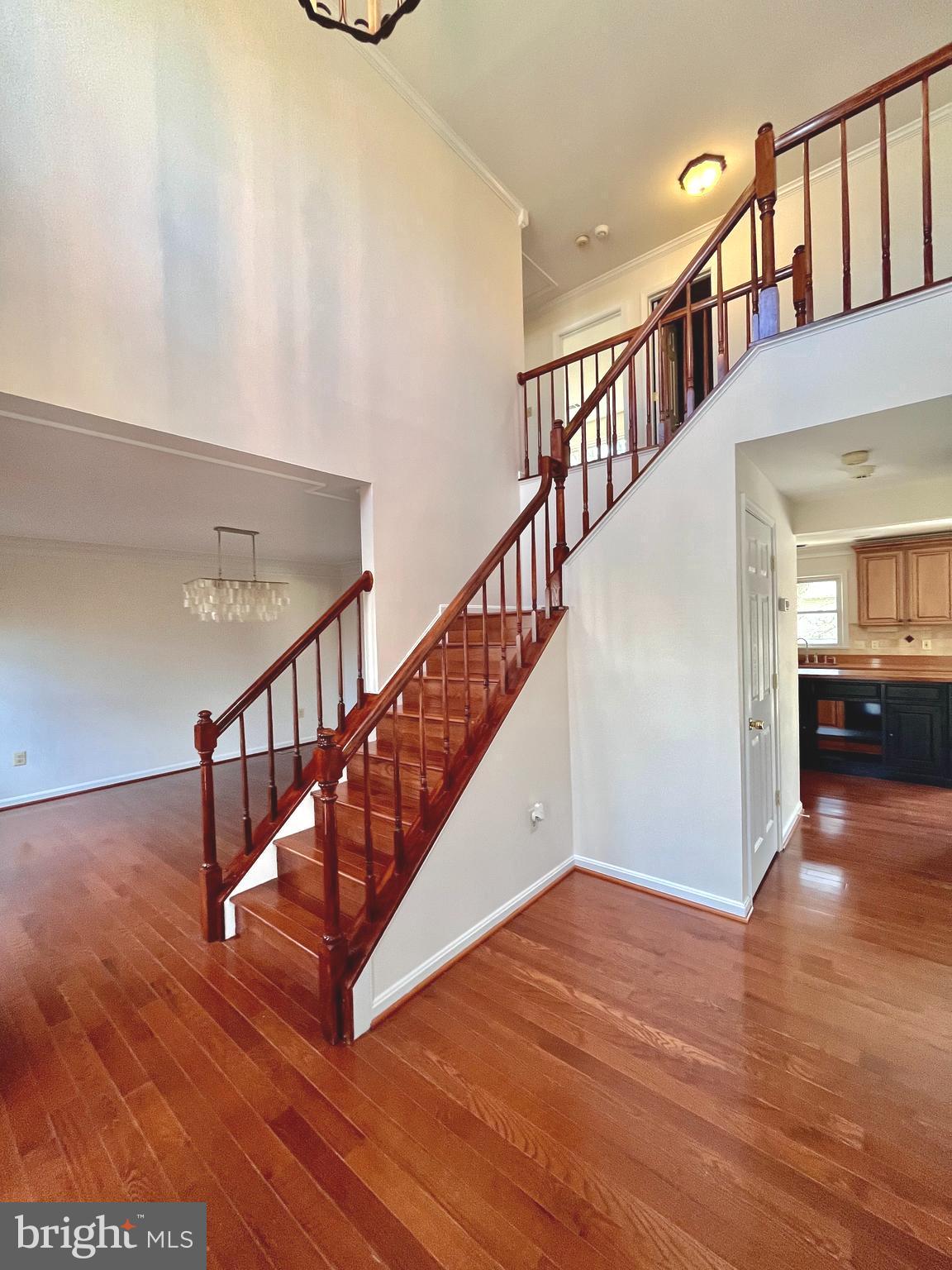 63 Cookson Dr