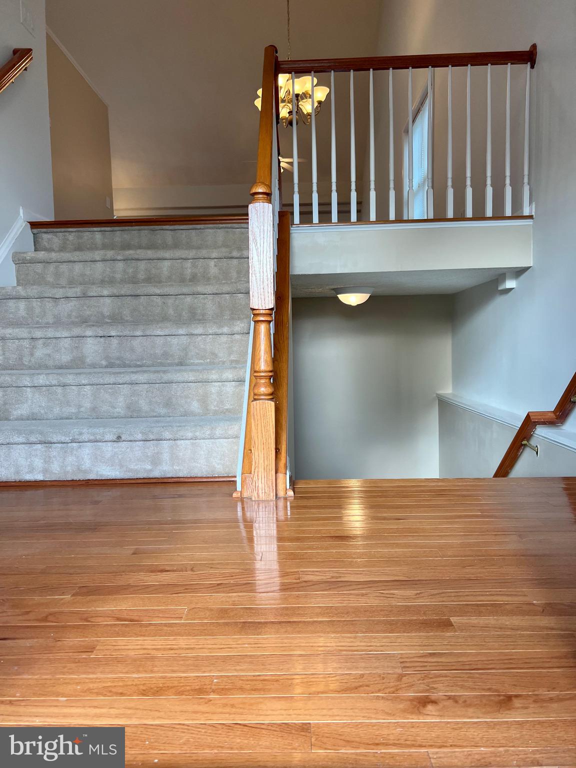 36 Hot Springs Way