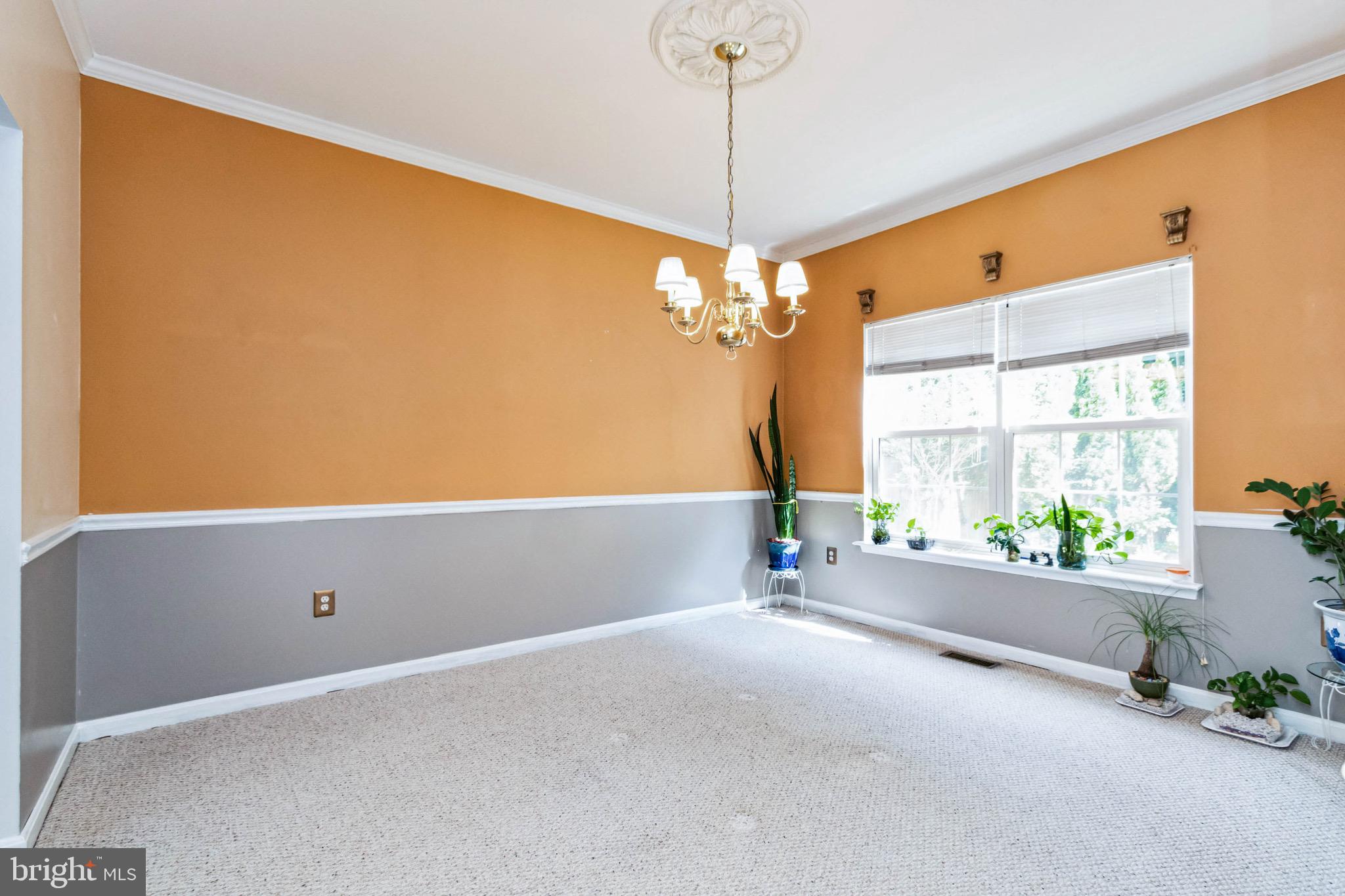 5 Candleridge Ct