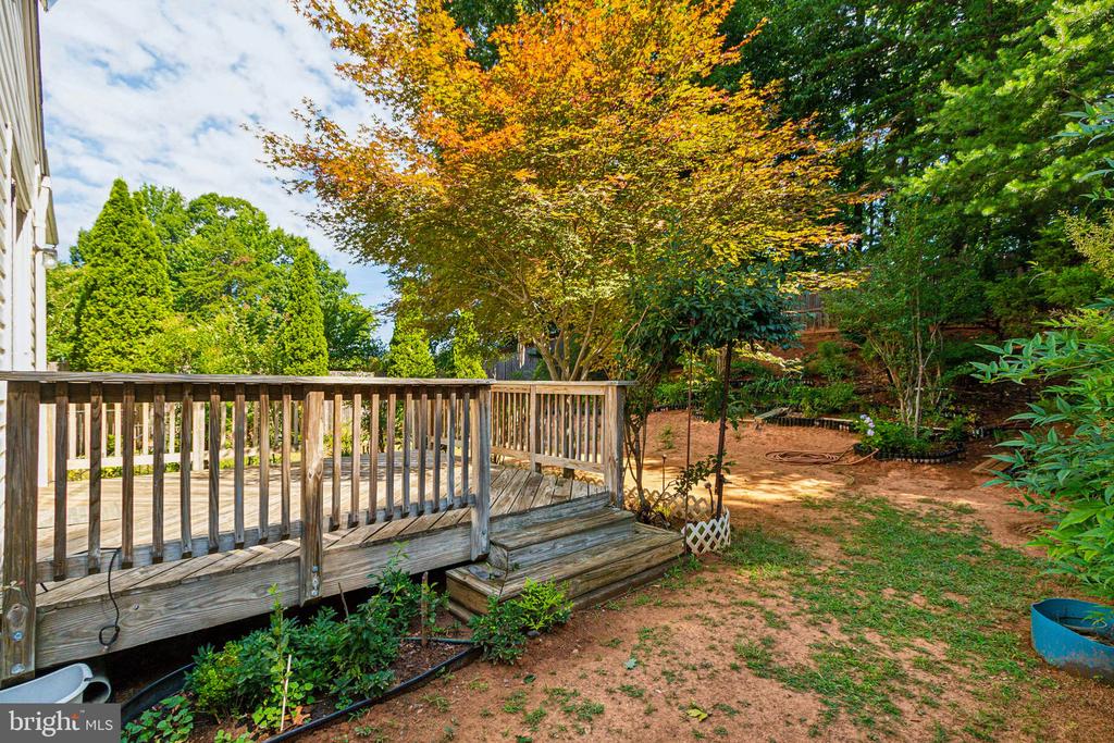 5 Candleridge Ct