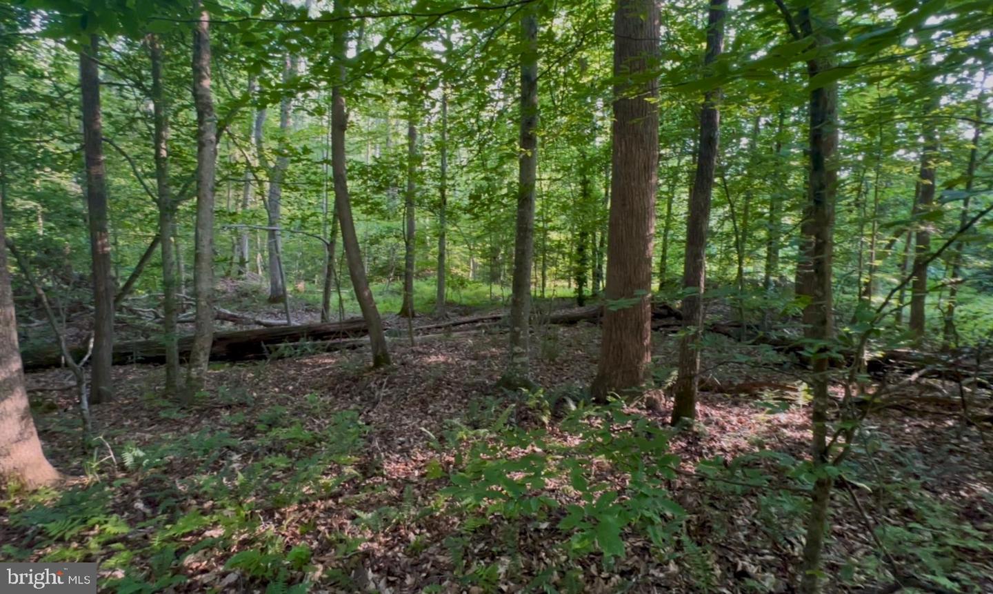 64 Panners Ln