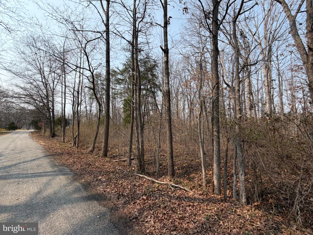 MARSH LANE