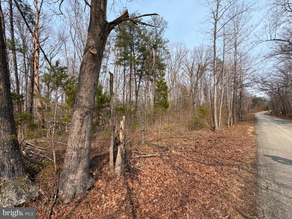 MARSH LANE