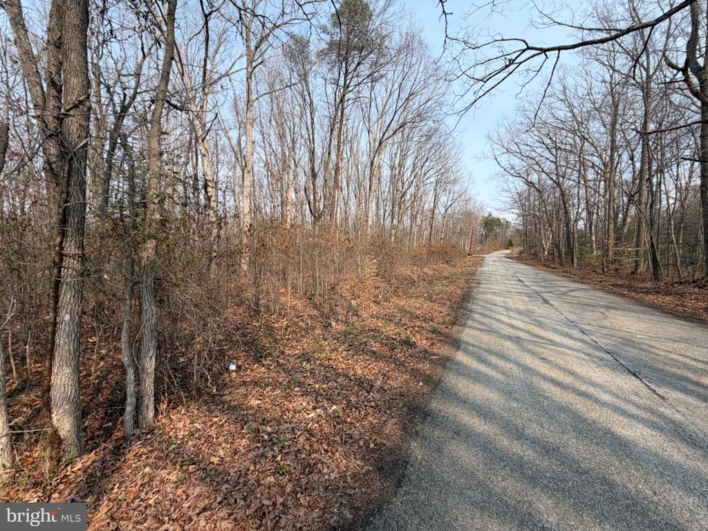 MARSH LANE