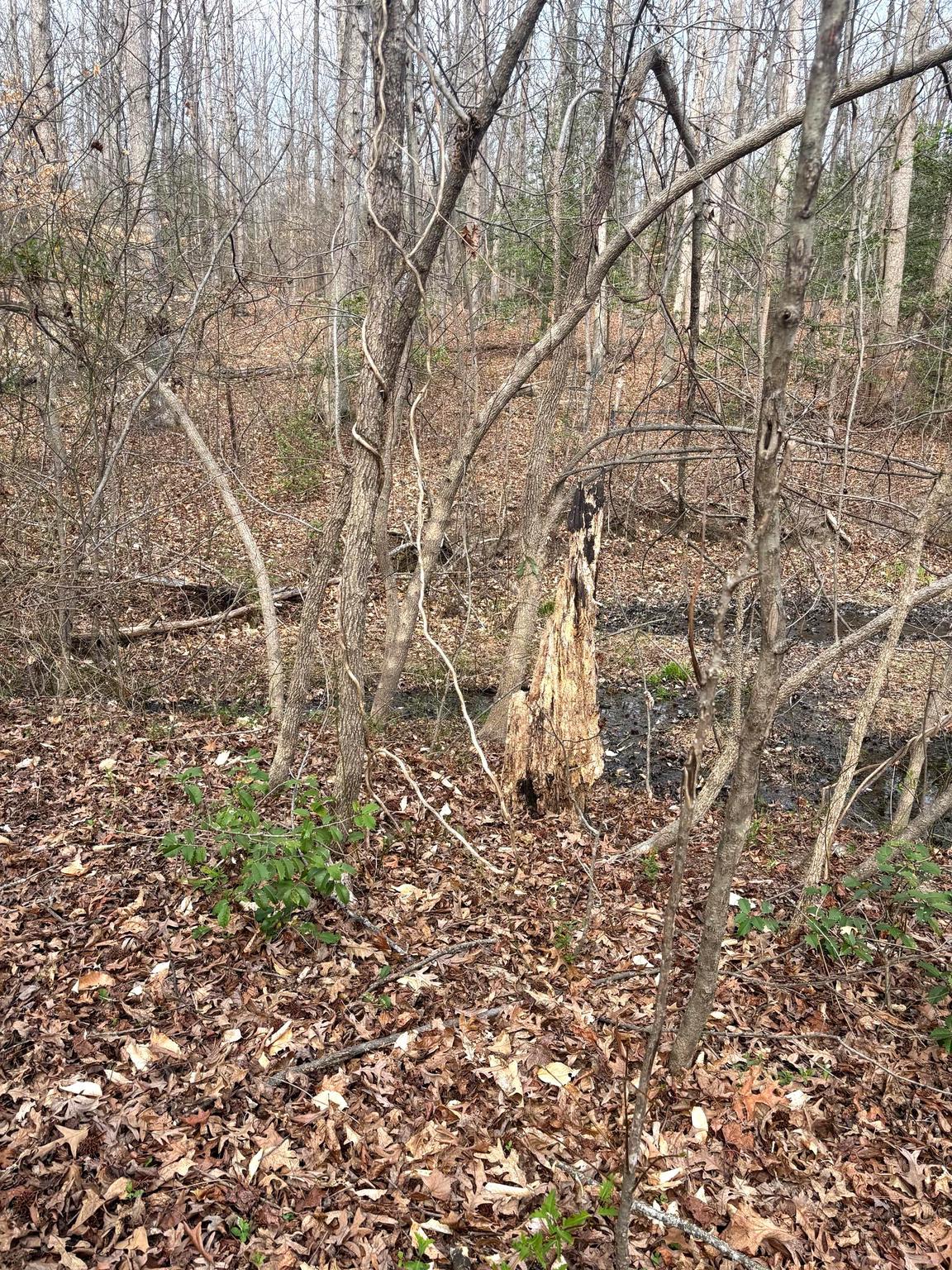 406 TRUSLOW ROAD