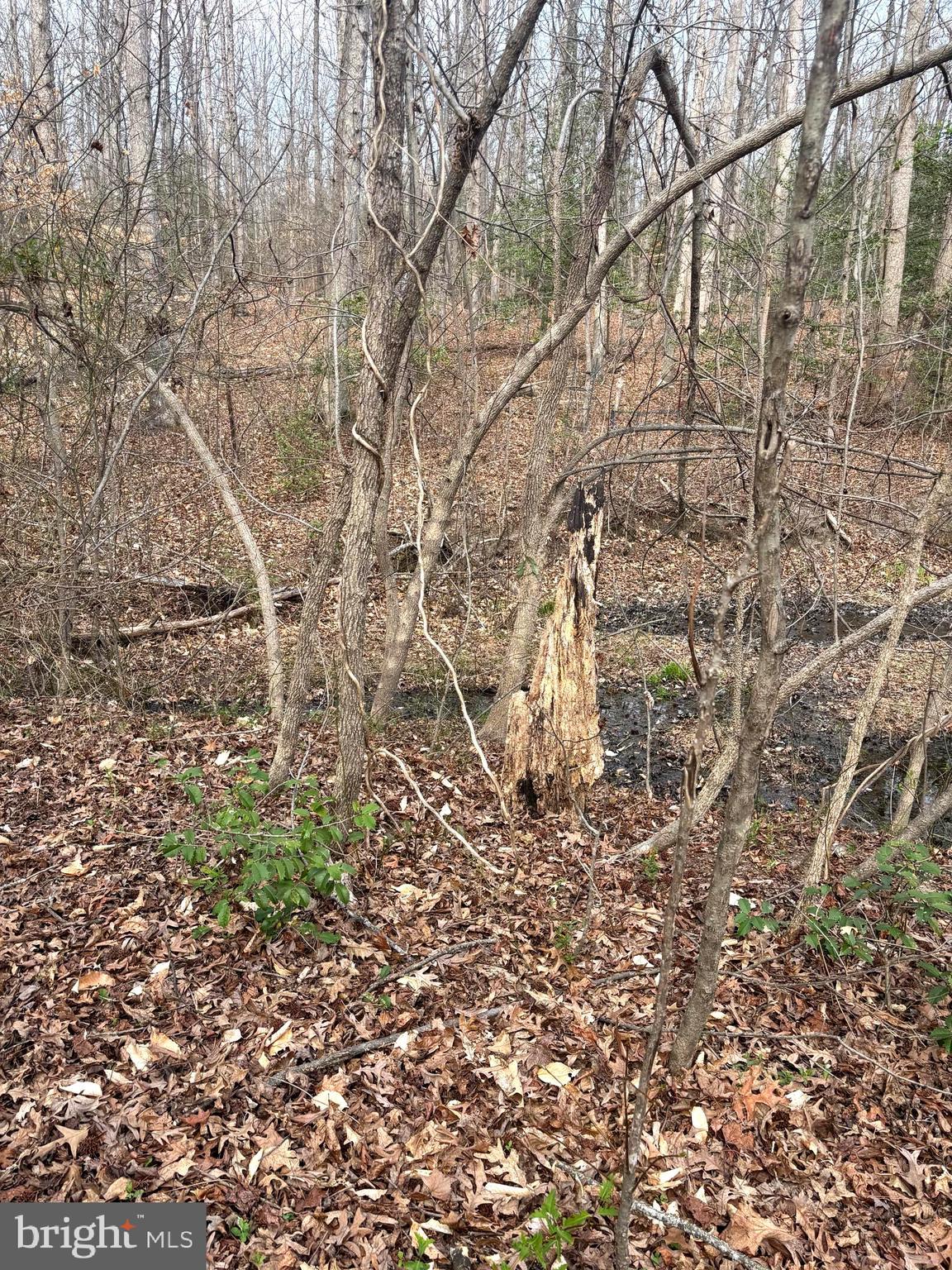 406 TRUSLOW ROAD