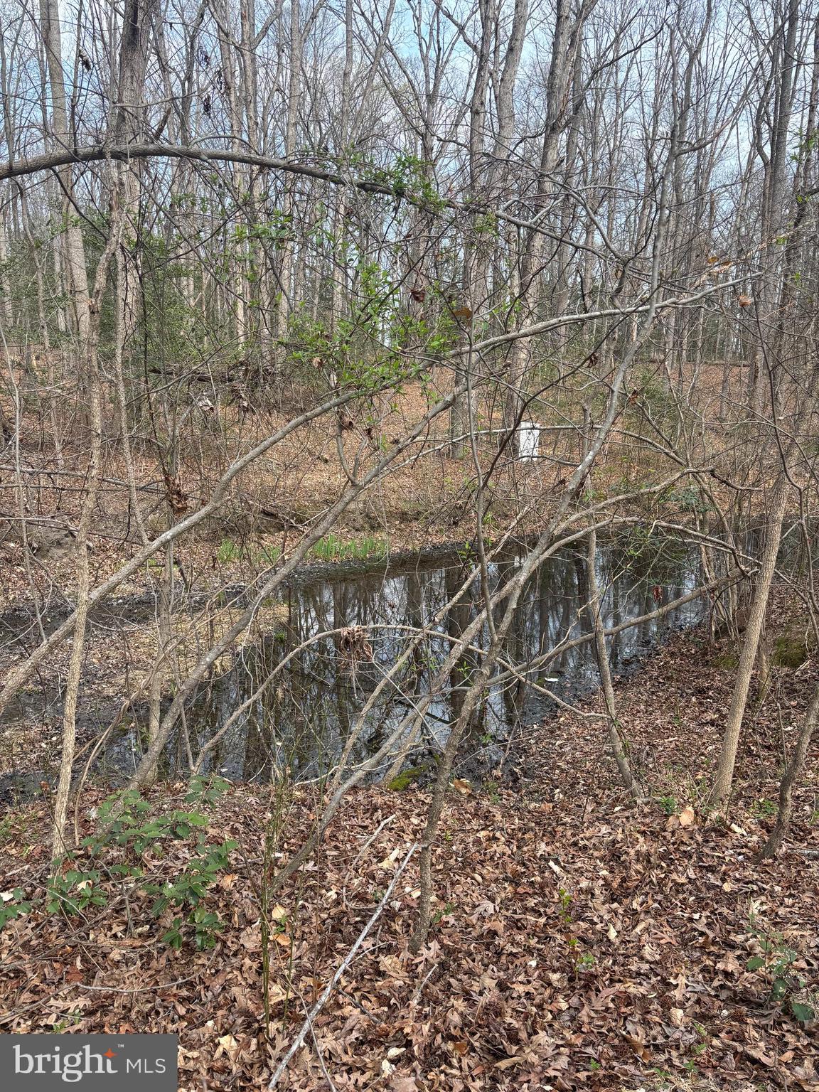 406 TRUSLOW ROAD