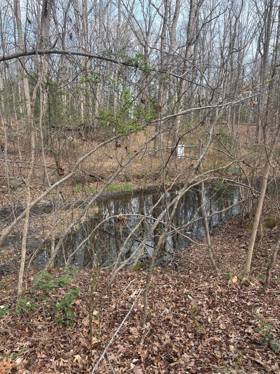 406 TRUSLOW ROAD