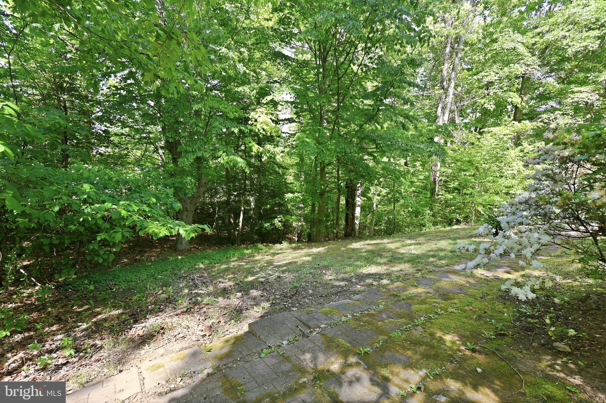 1128 AQUIA DRIVE