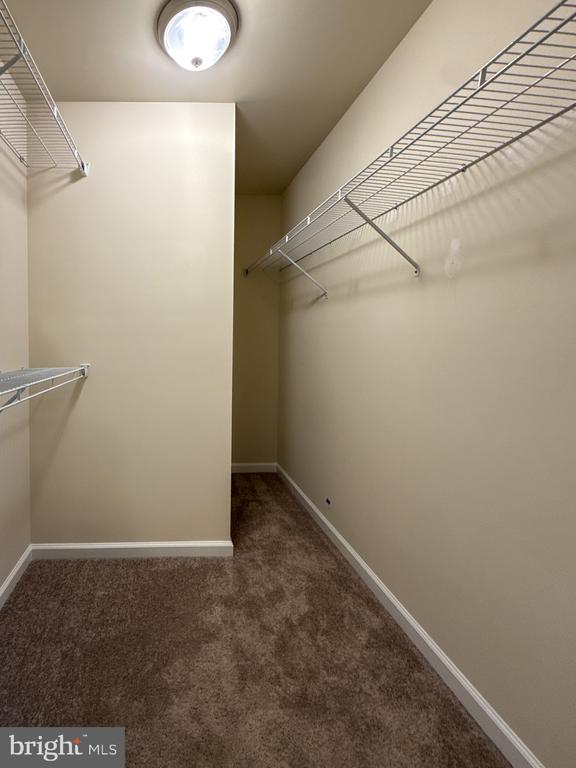 65 OAK LN