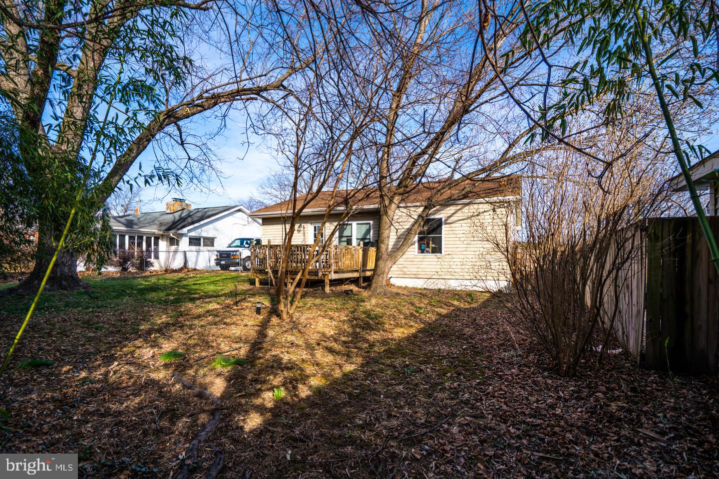 217 MOLDEN