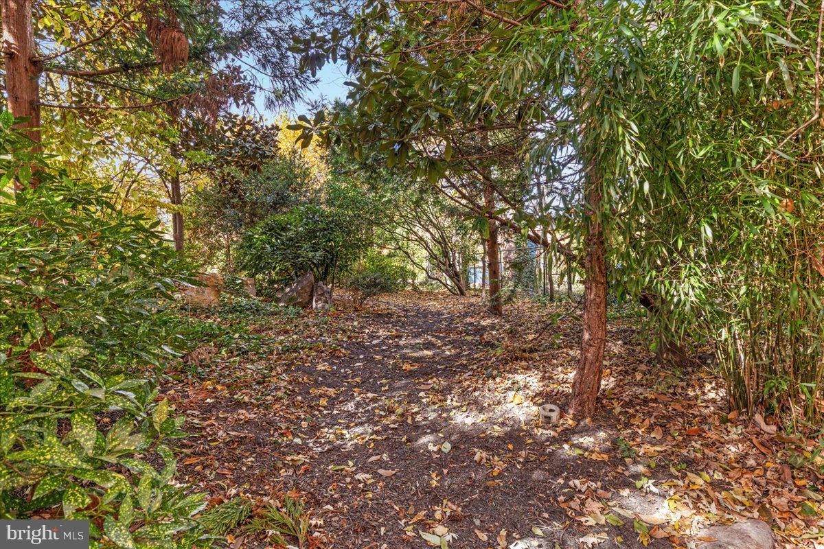 316 W WHITLOCK AVENUE