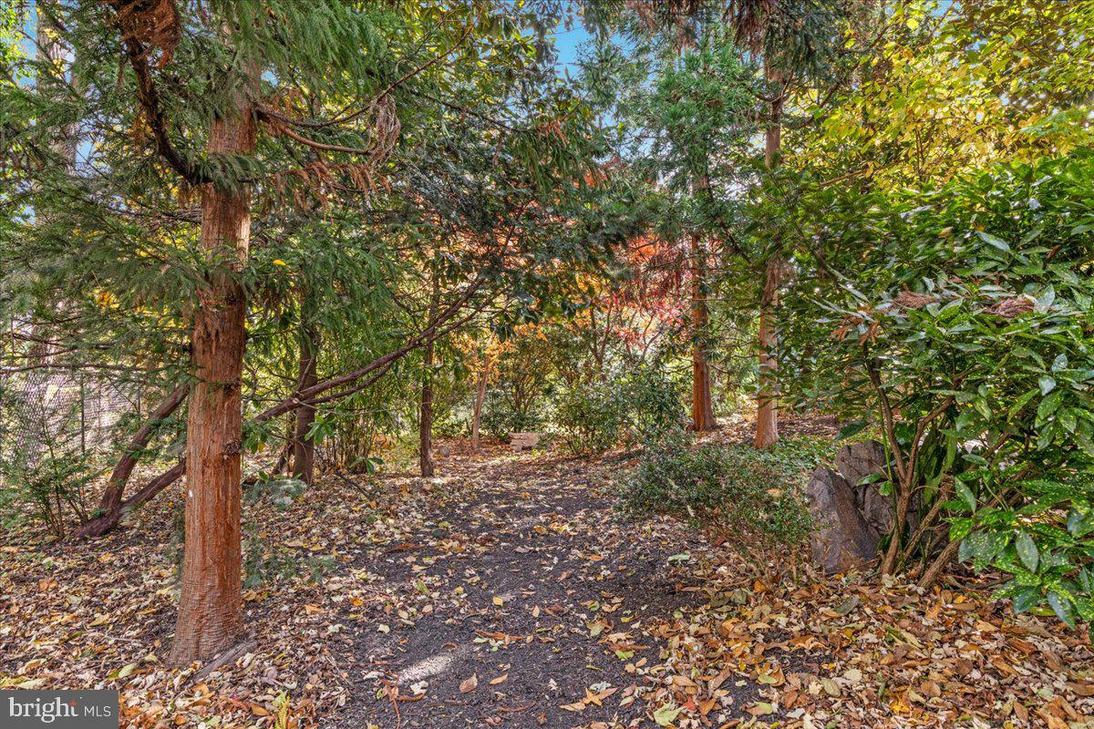 316 W WHITLOCK AVENUE