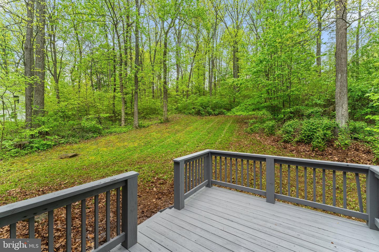 295 MOUNTAIN HEIGHTS ROAD