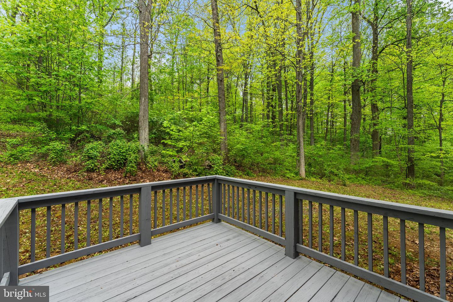 295 MOUNTAIN HEIGHTS ROAD
