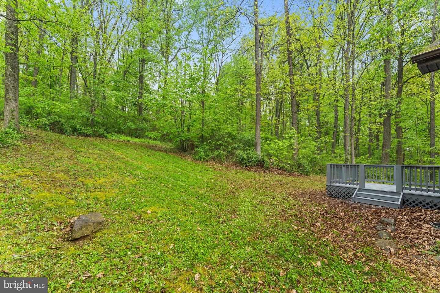 295 MOUNTAIN HEIGHTS ROAD