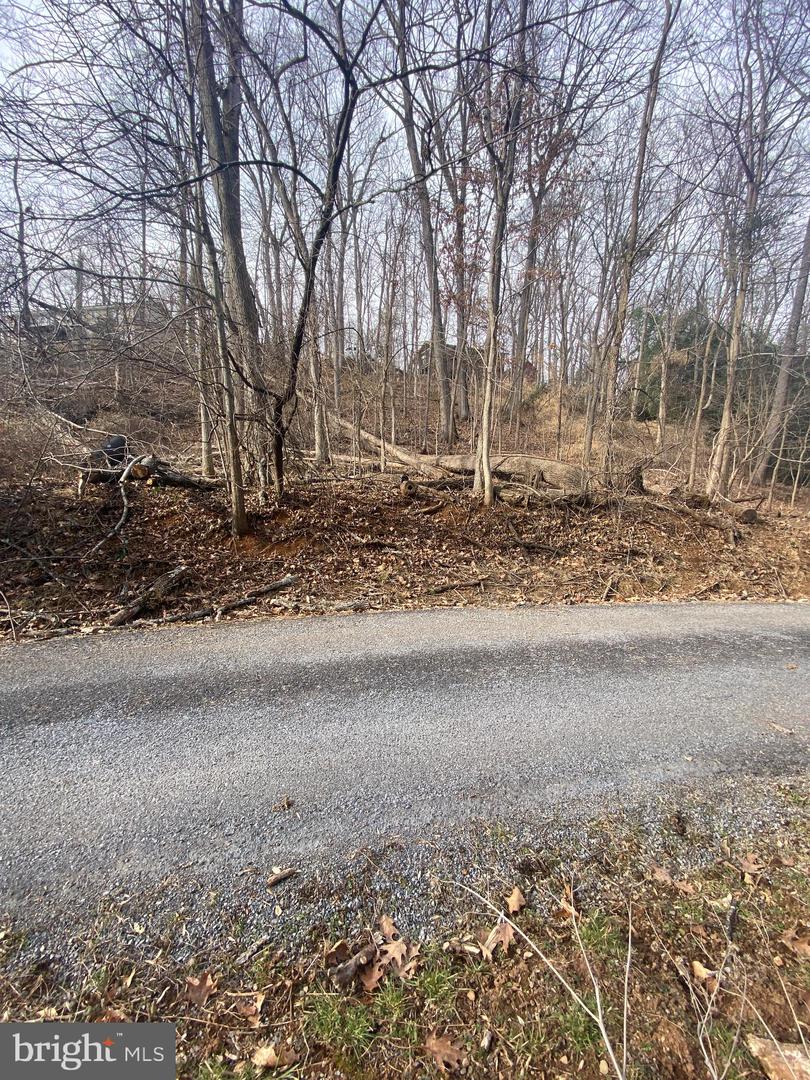 EASY HOLLOW ROAD