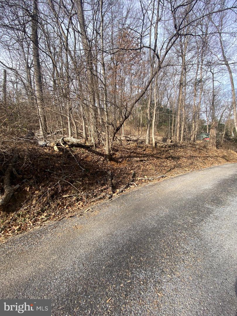 EASY HOLLOW ROAD