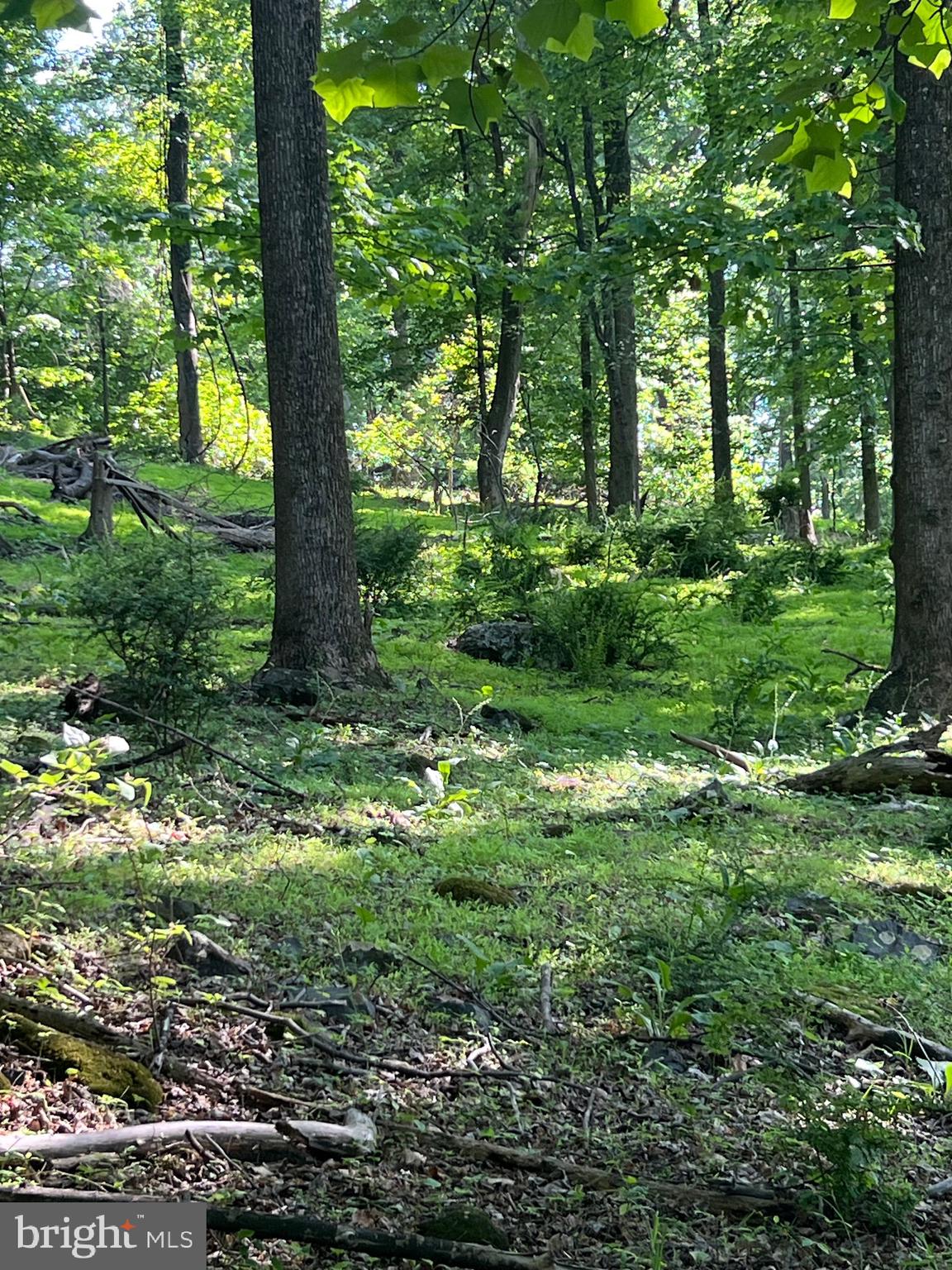 HIGH KNOB ROAD