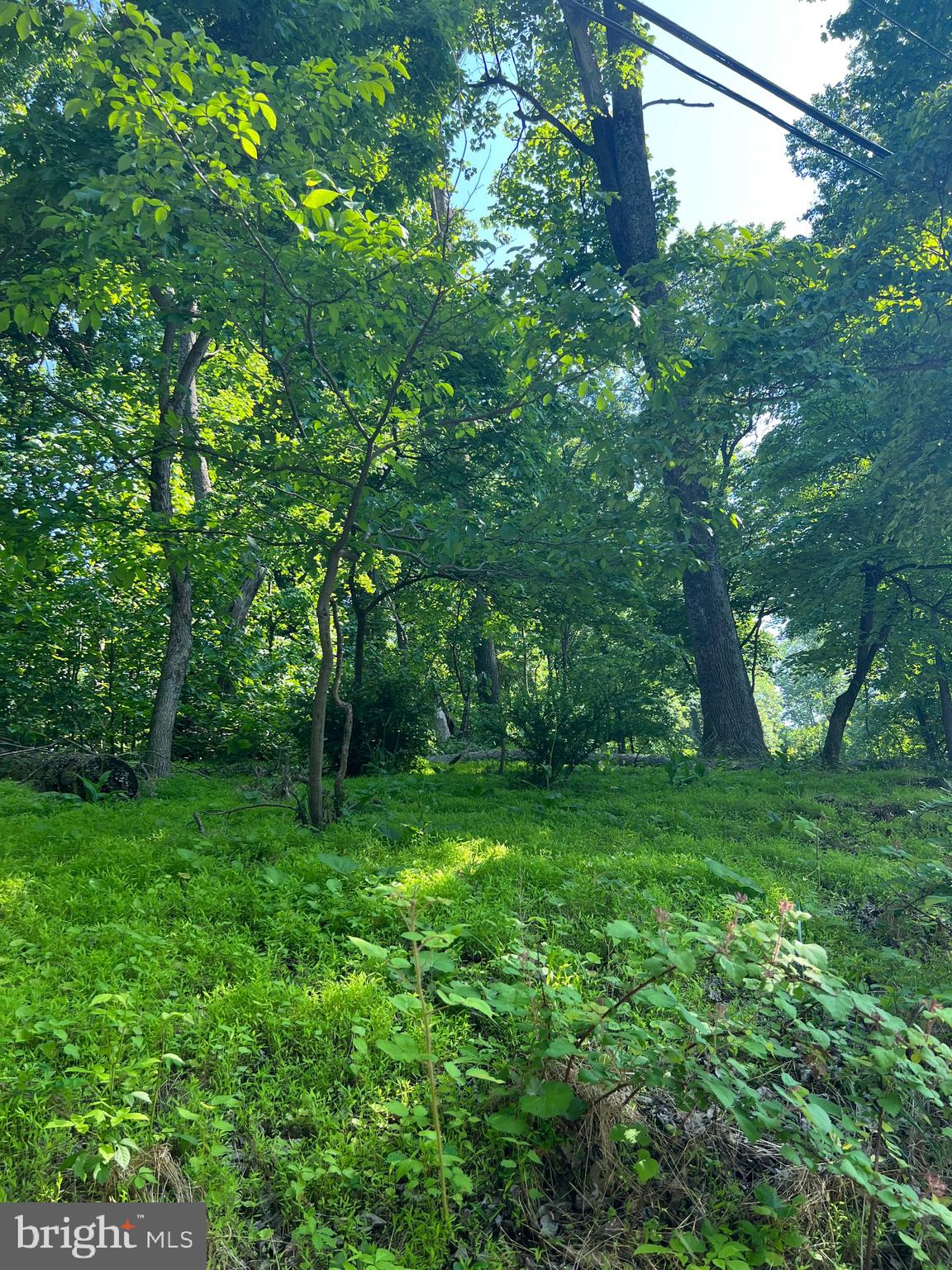 HIGH KNOB ROAD