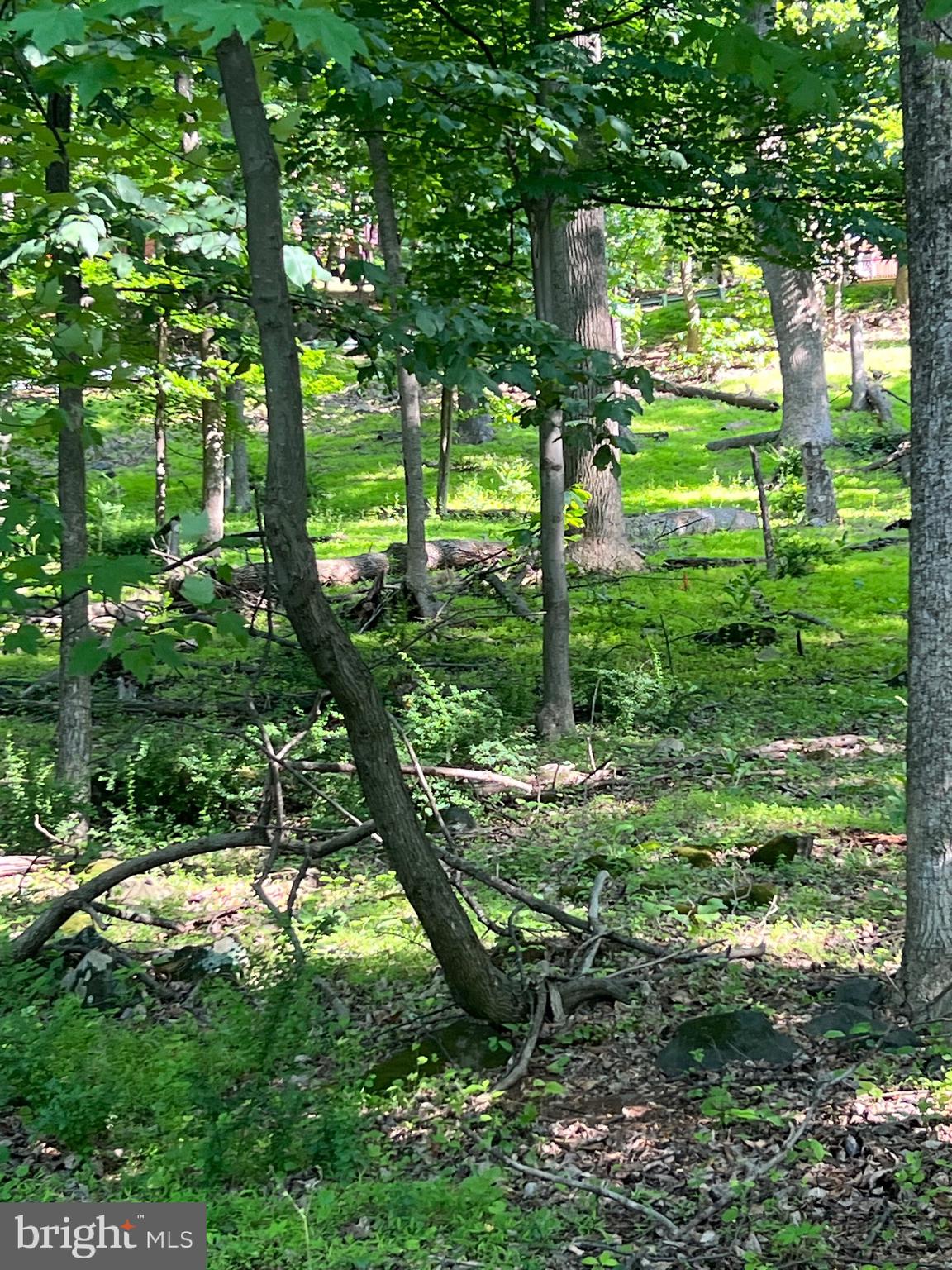 HIGH KNOB ROAD