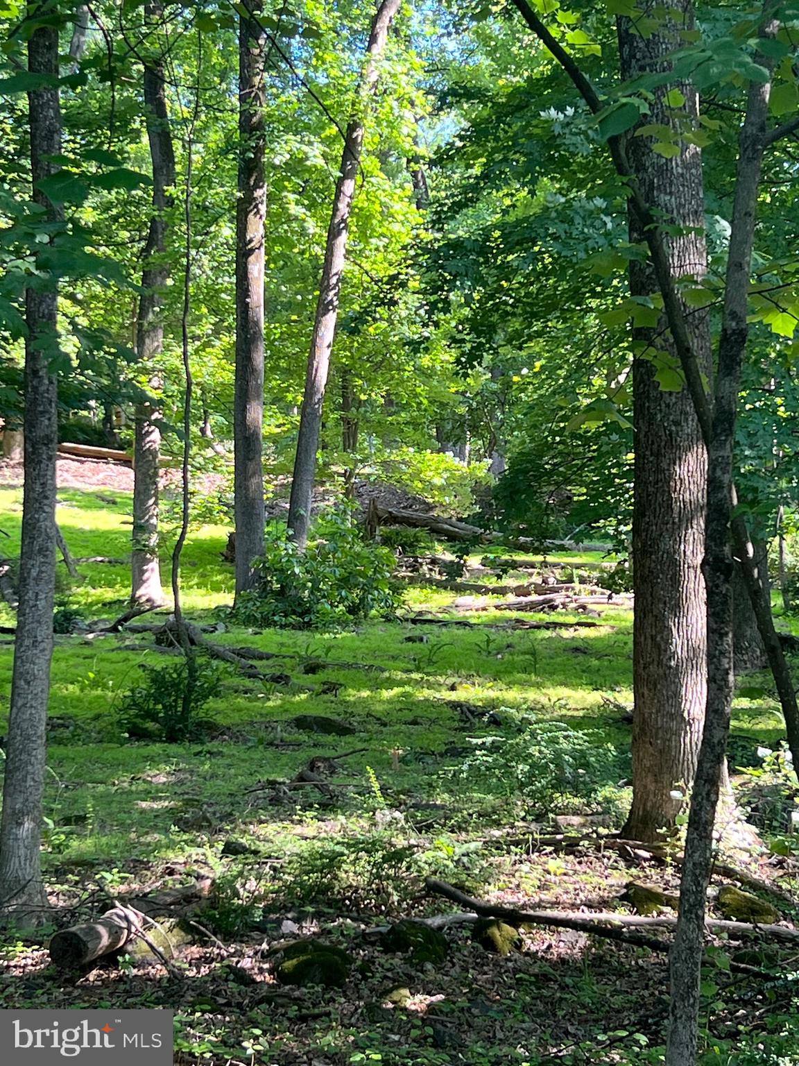 HIGH KNOB ROAD