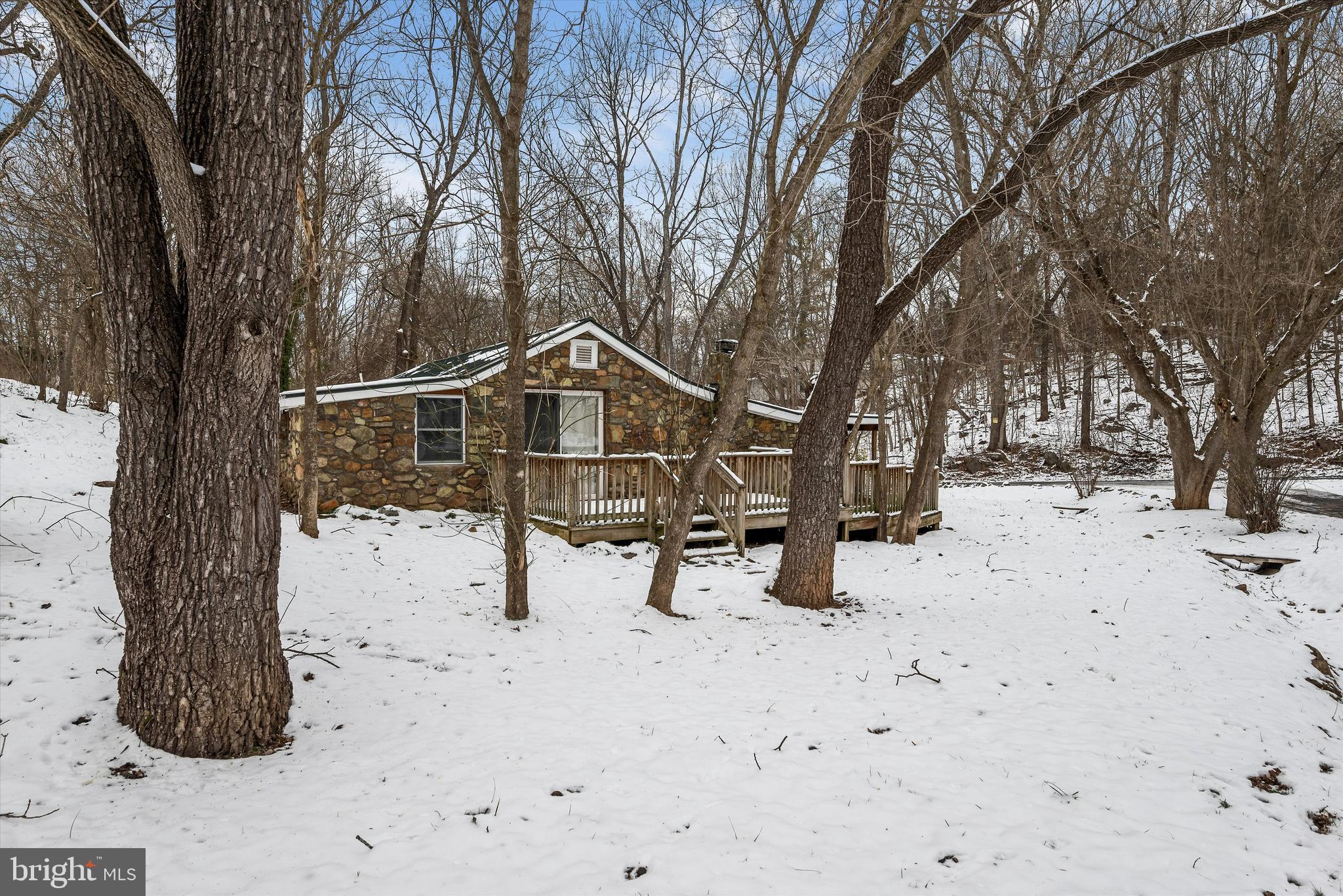 66 Snake ROAD