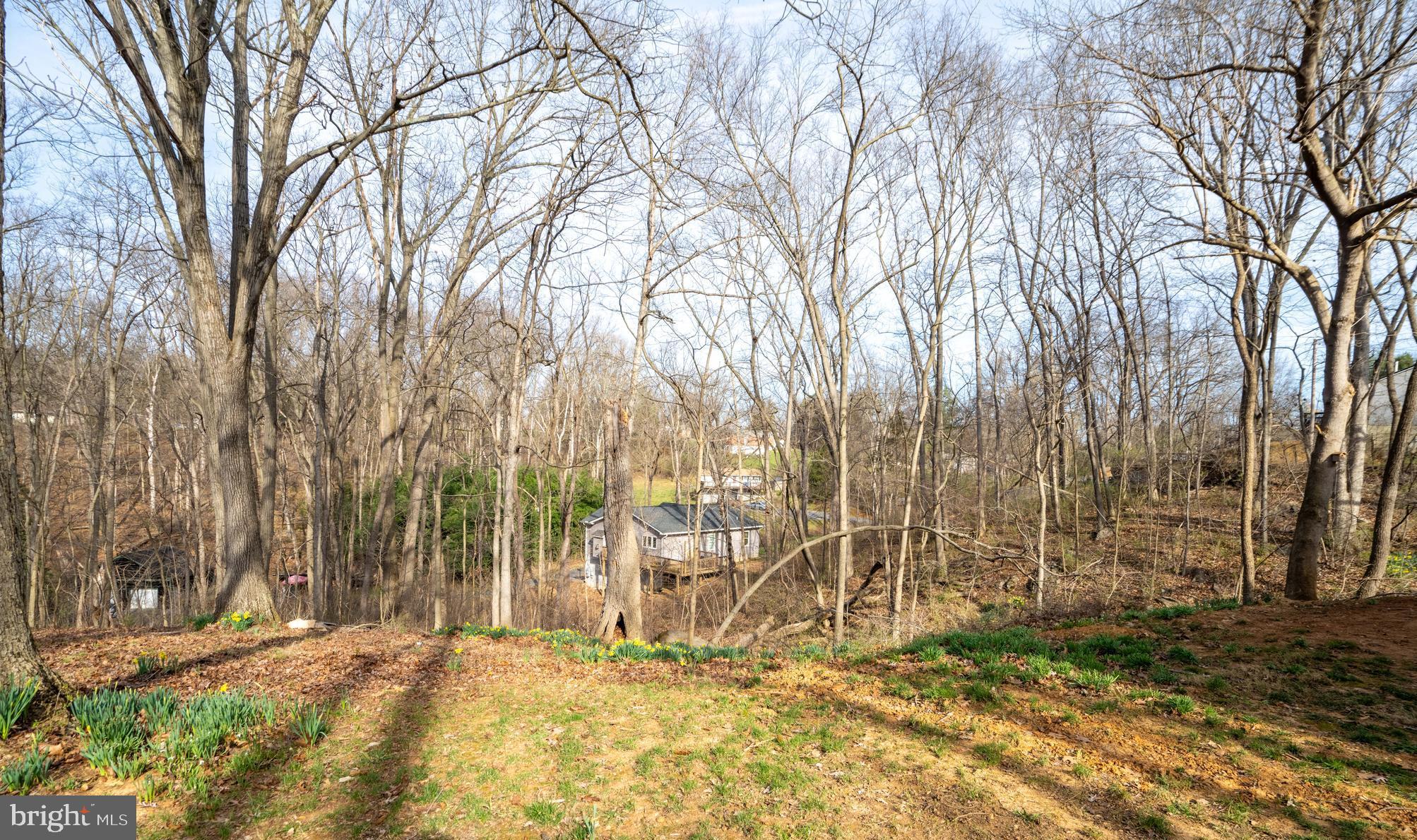 3171 Shenandoah Shores Rd