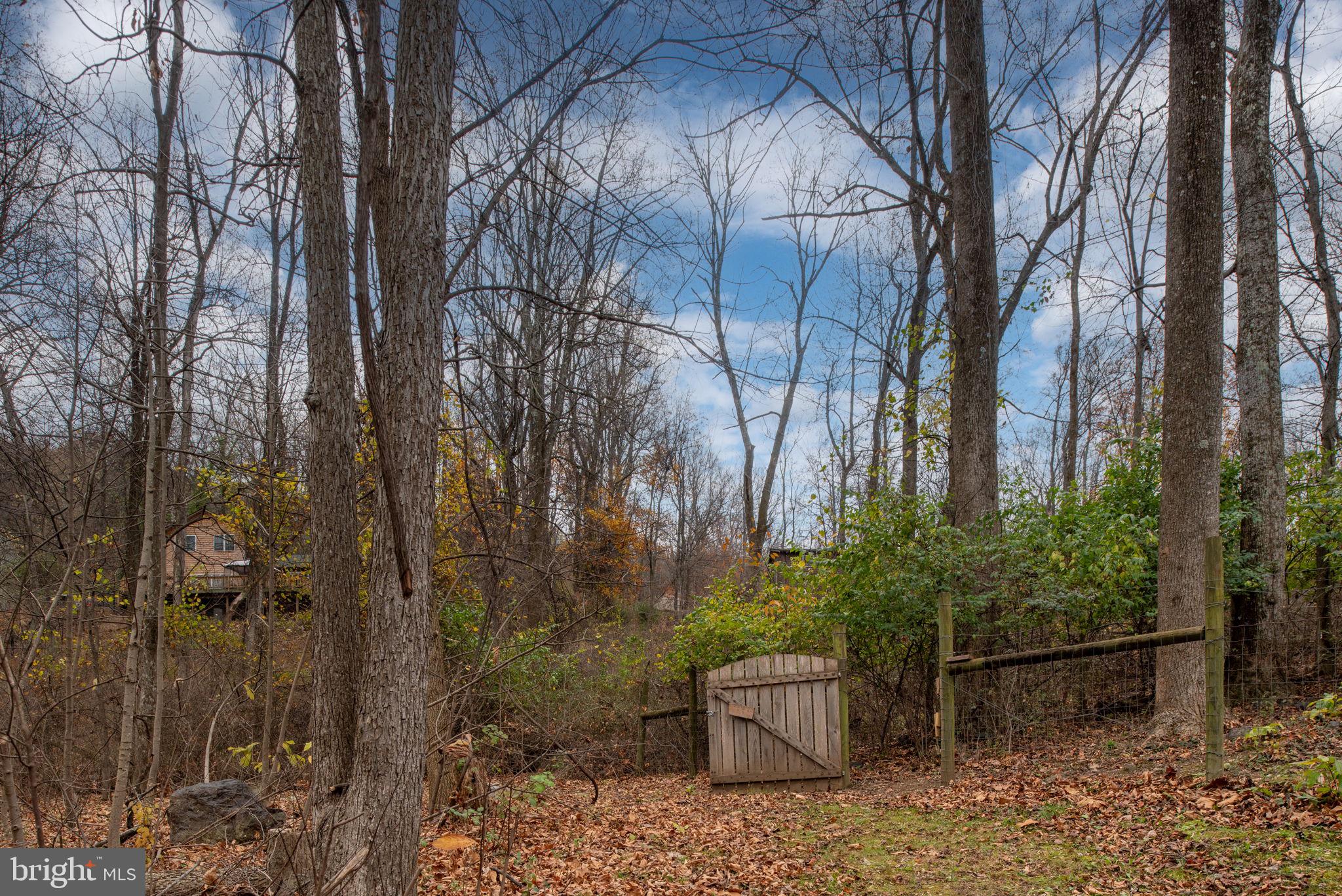 73 Memory Ln