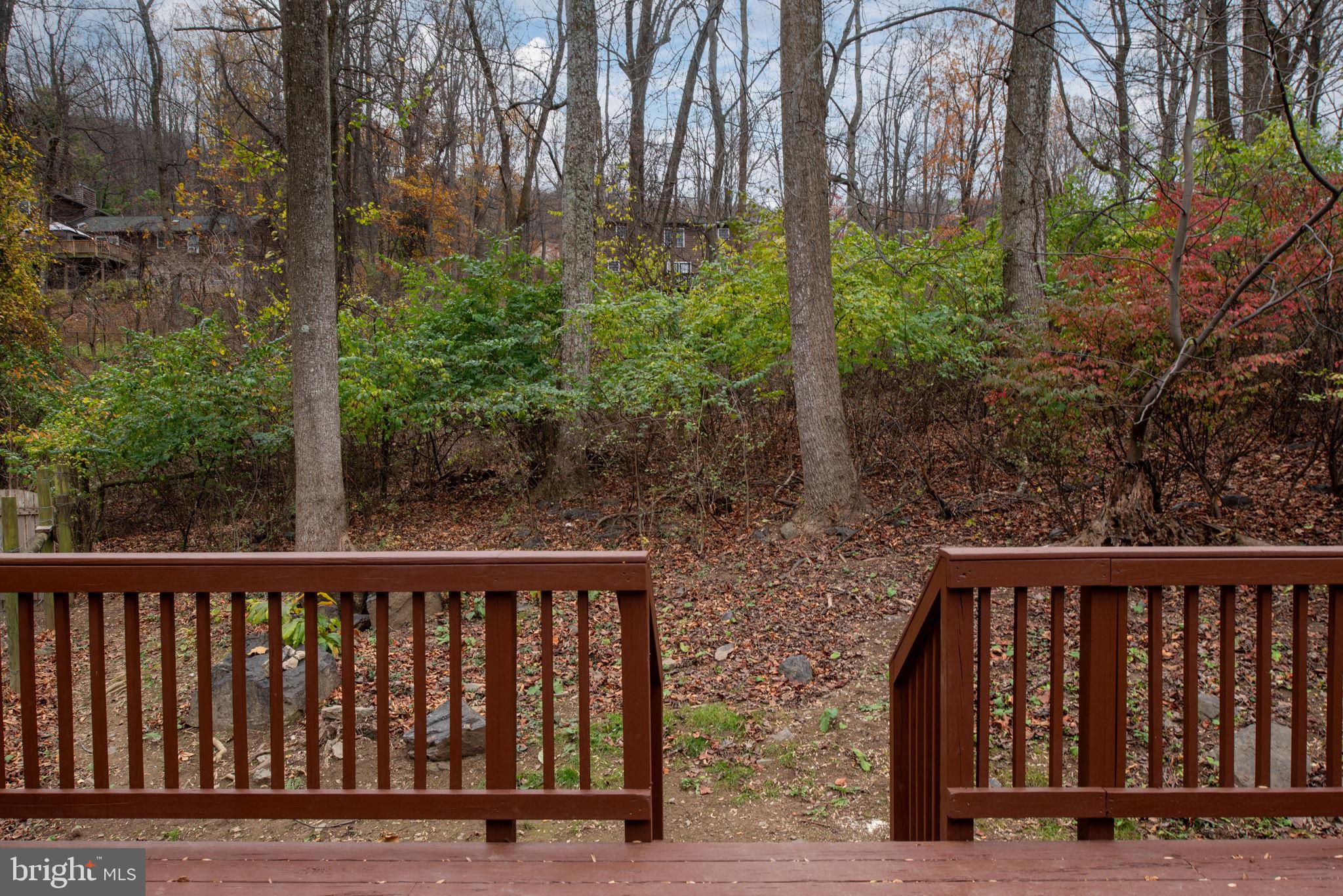 73 Memory Ln