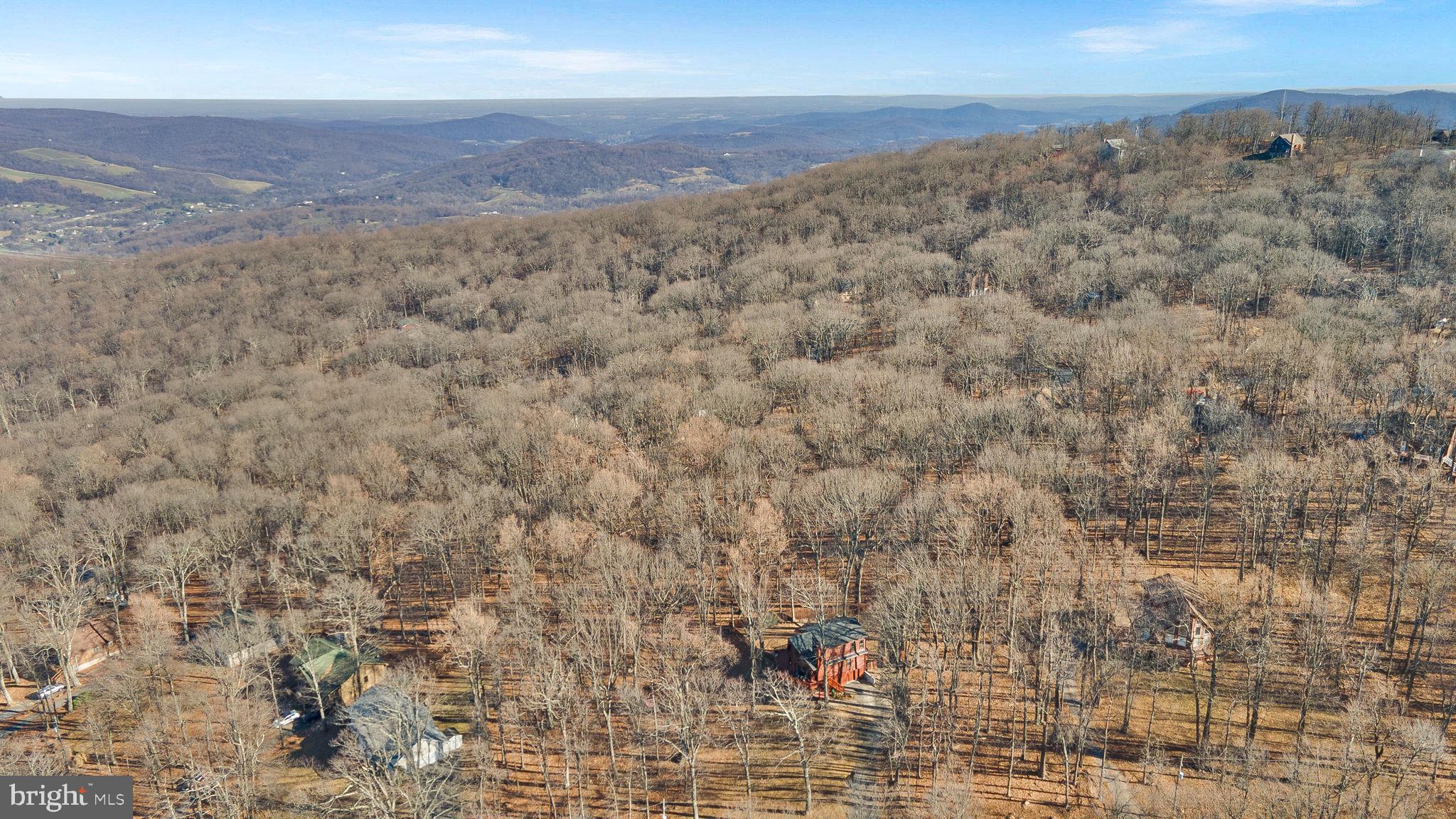 323 Alpine Dr