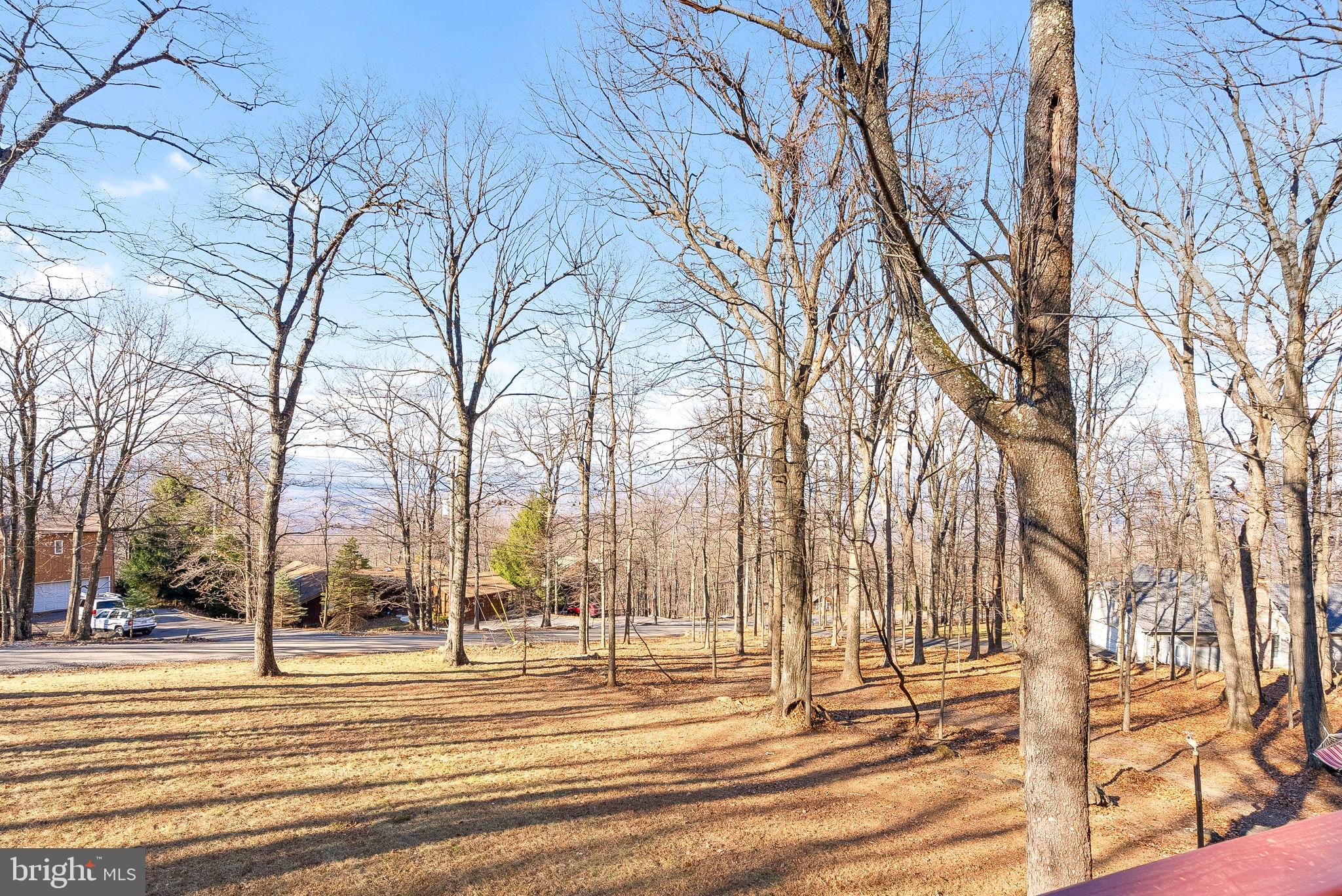 323 Alpine Dr