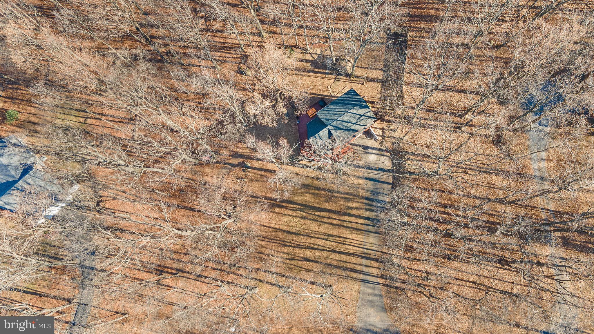 323 Alpine Dr