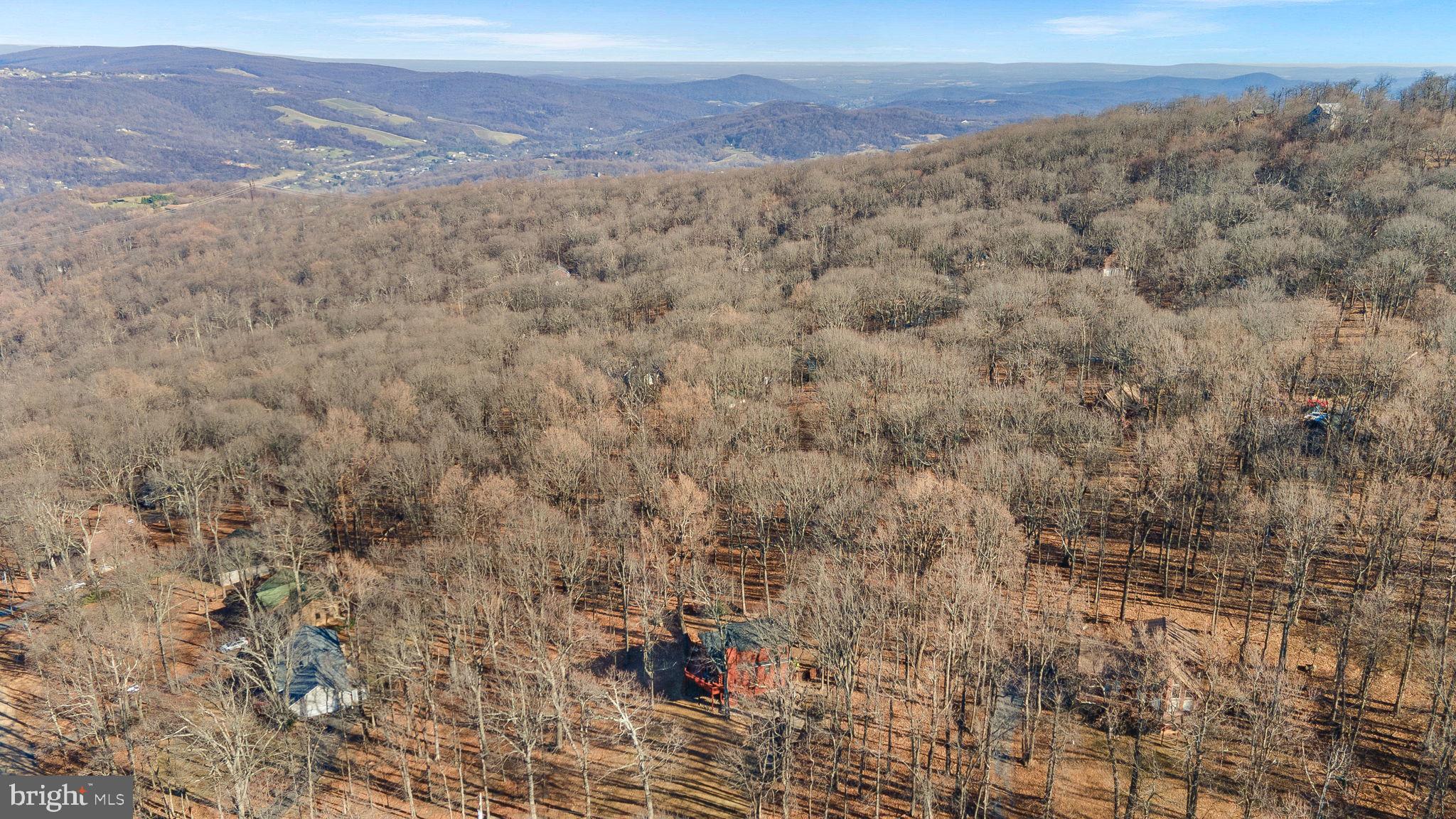 323 Alpine Dr
