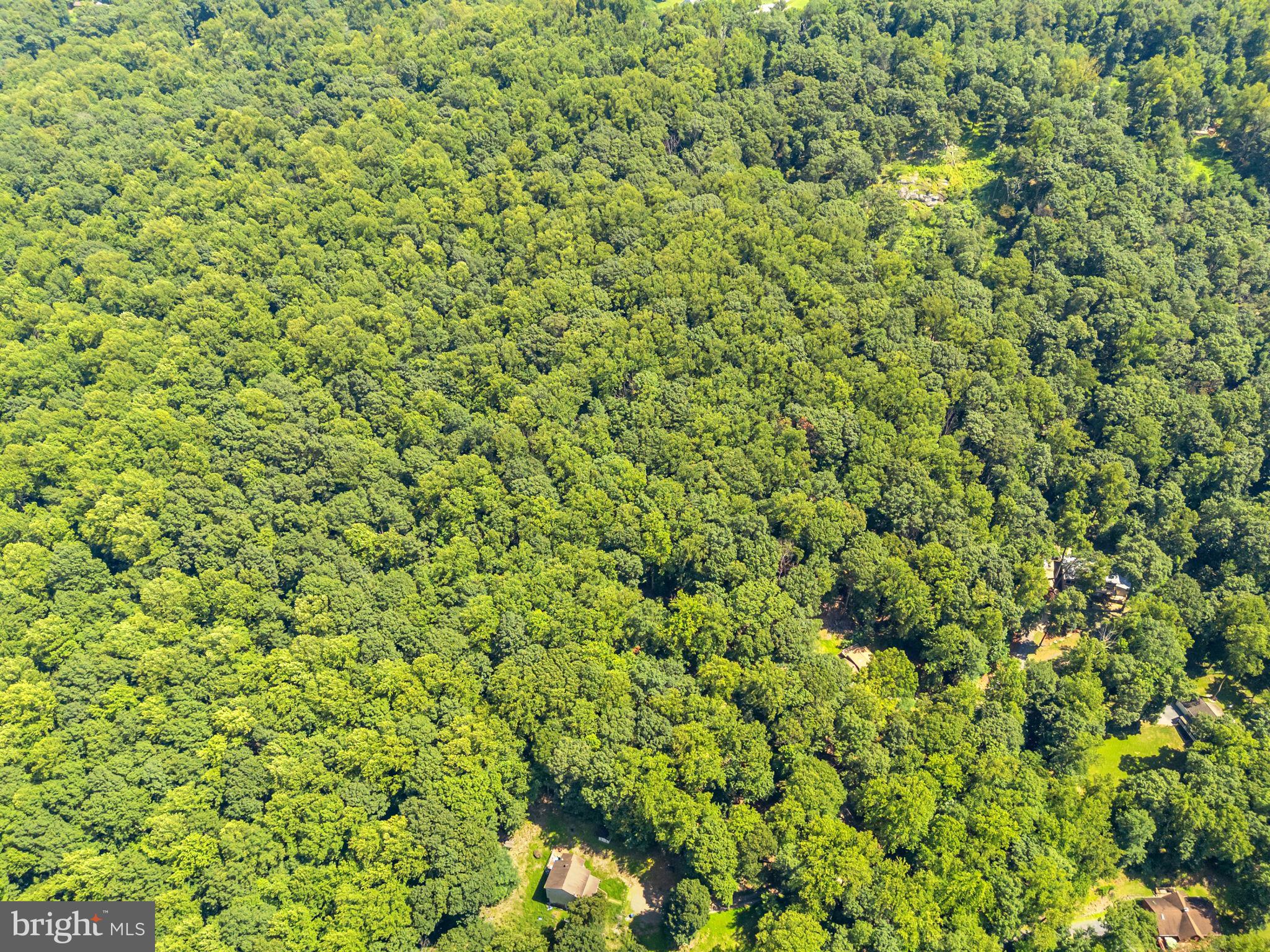 247 Marsden Heights Rd