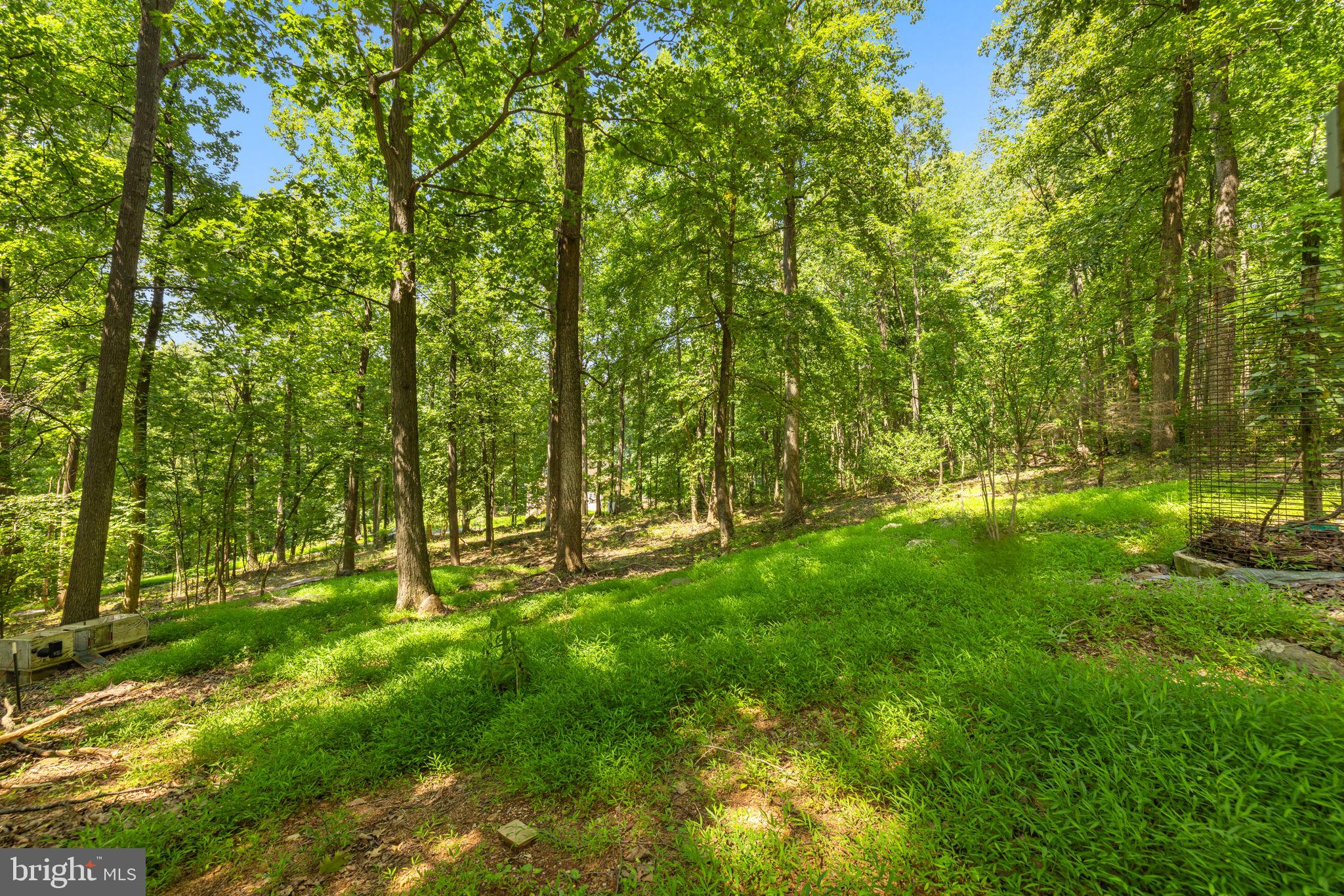 247 Marsden Heights Rd