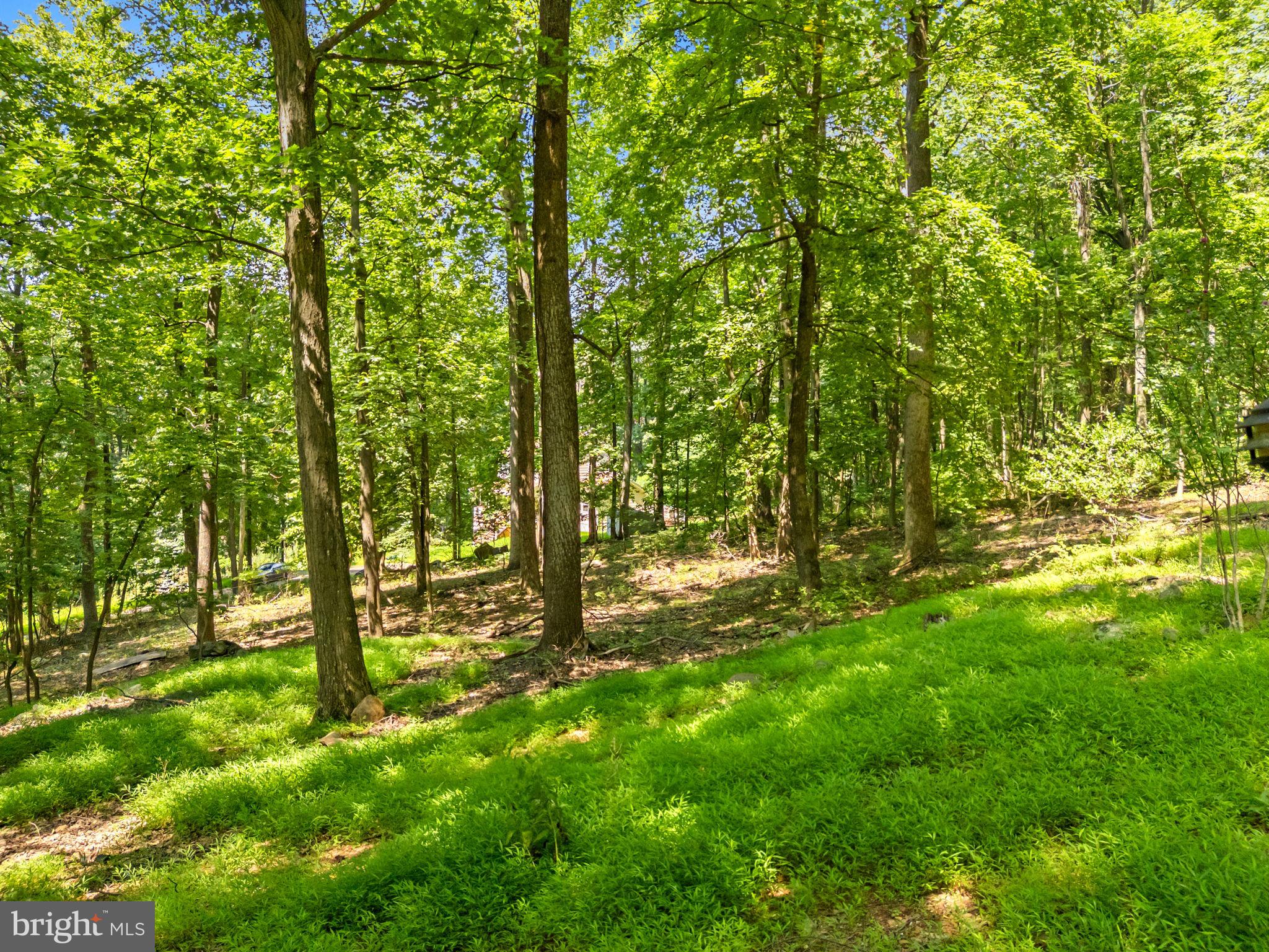 247 Marsden Heights Rd