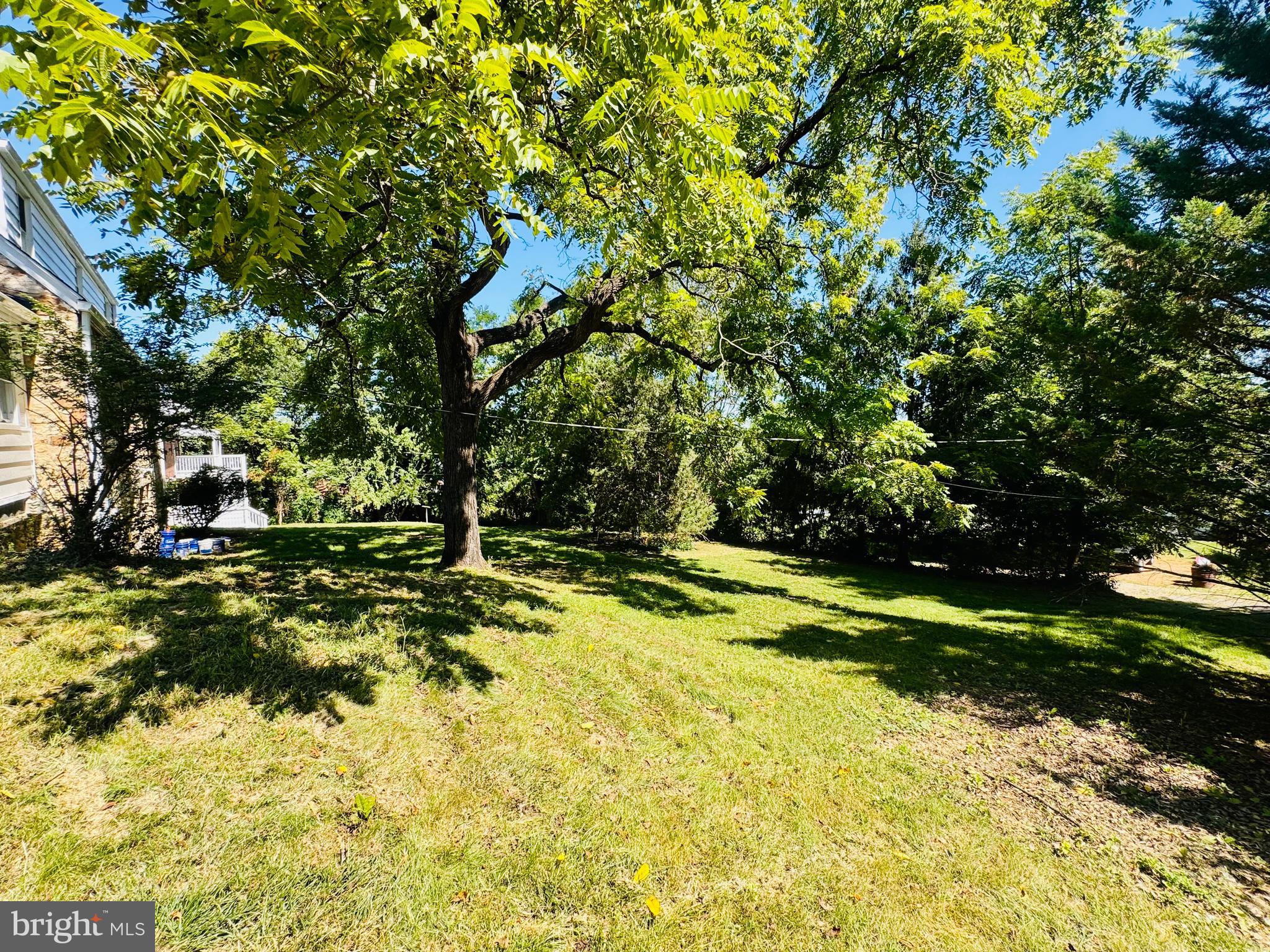 311 VILLA AVENUE