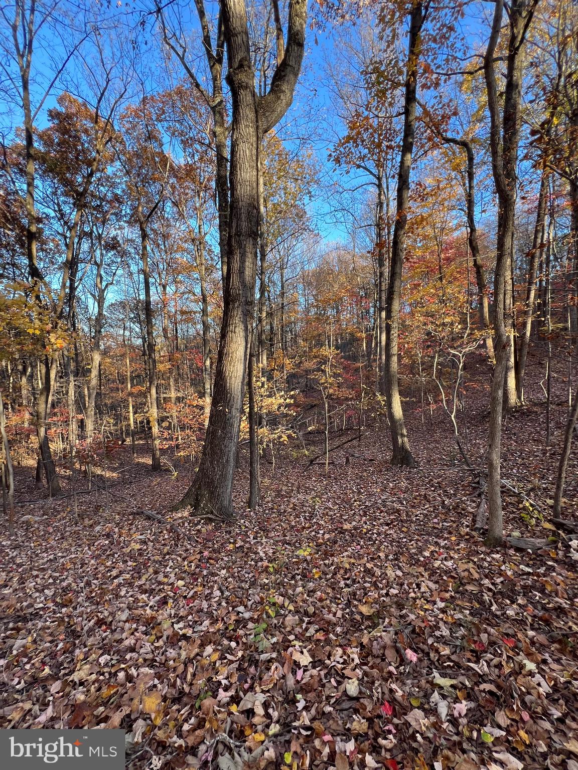 0 TIMBERLINE RIDGE ROAD