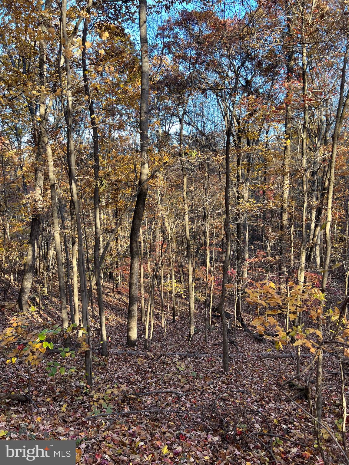 0 TIMBERLINE RIDGE ROAD