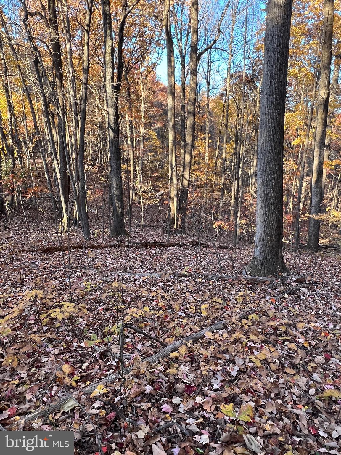 0 TIMBERLINE RIDGE ROAD