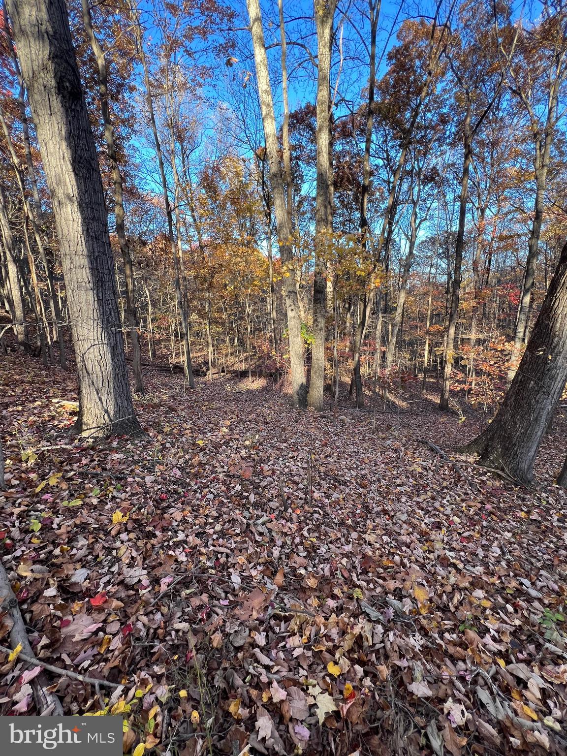 0 TIMBERLINE RIDGE ROAD