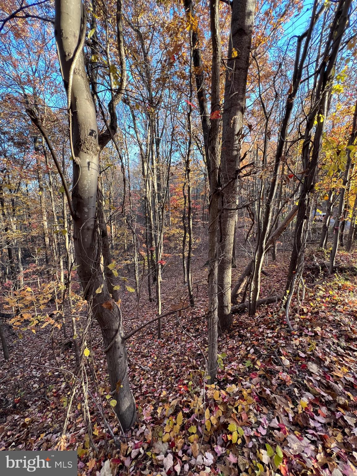 0 TIMBERLINE RIDGE ROAD