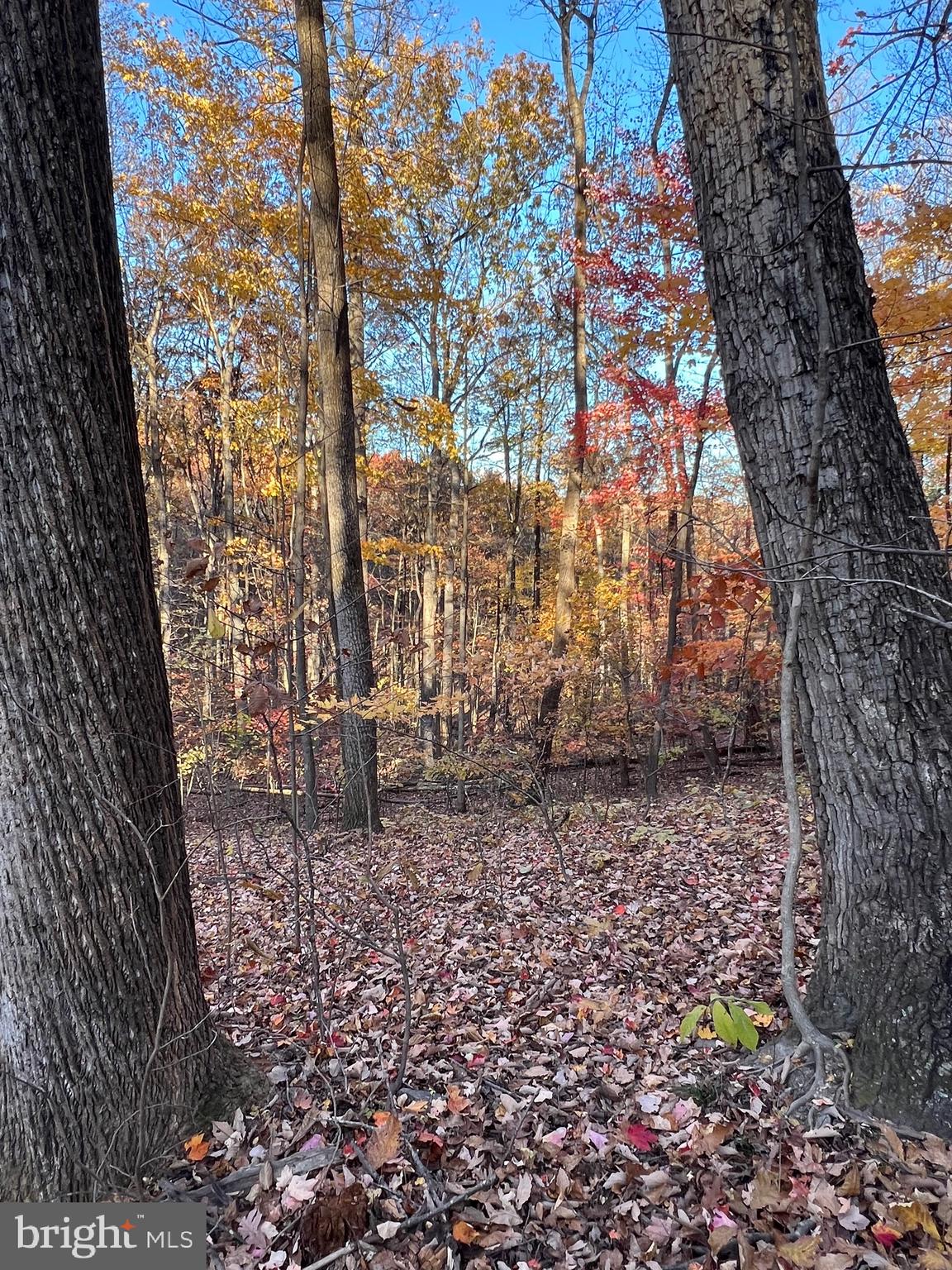 0 TIMBERLINE RIDGE ROAD