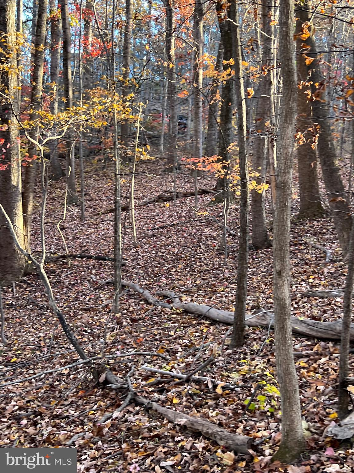 0 TIMBERLINE RIDGE ROAD