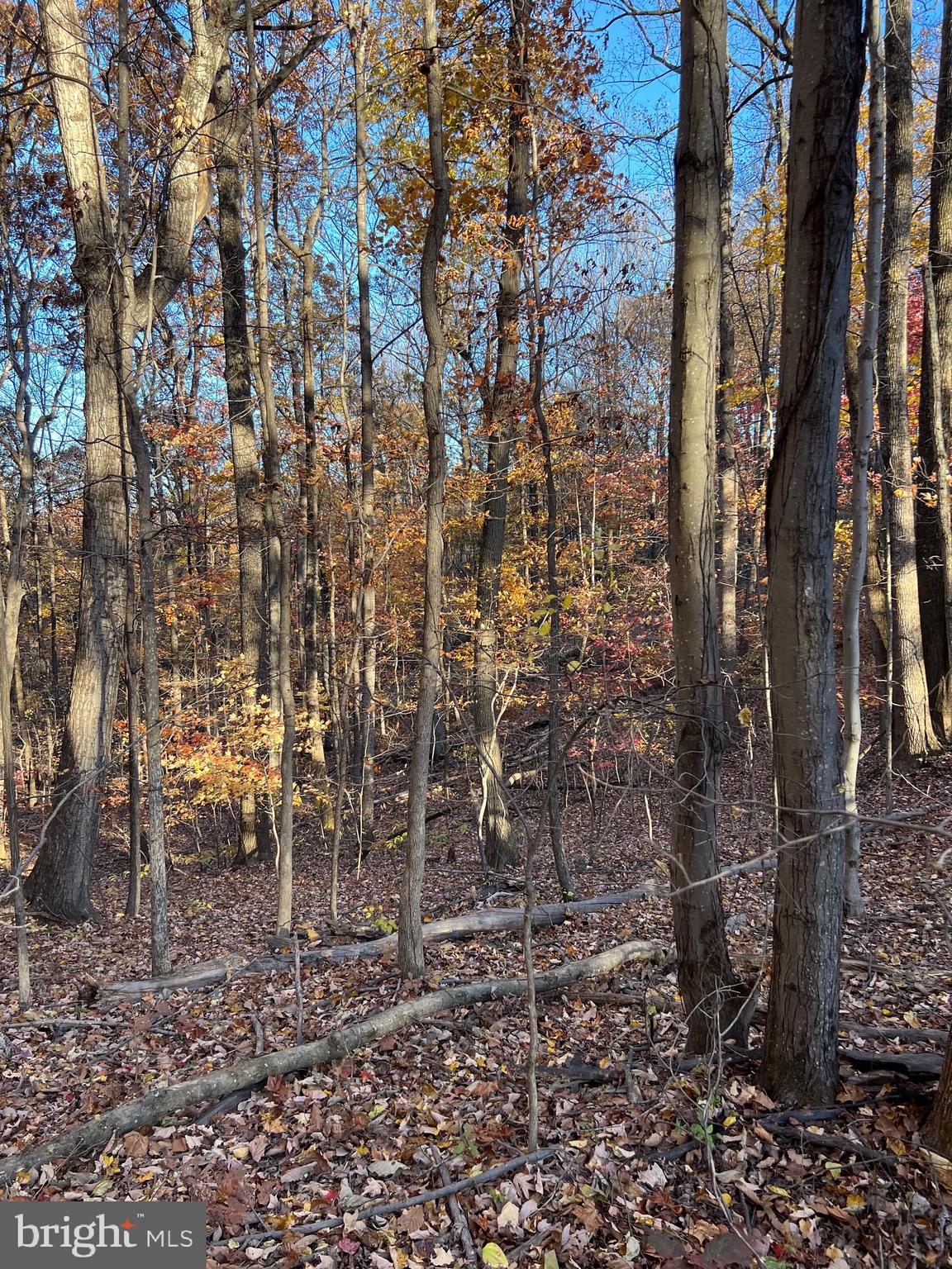 0 TIMBERLINE RIDGE ROAD