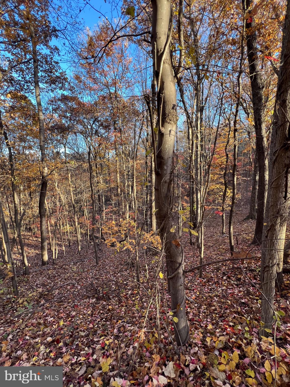 0 TIMBERLINE RIDGE ROAD